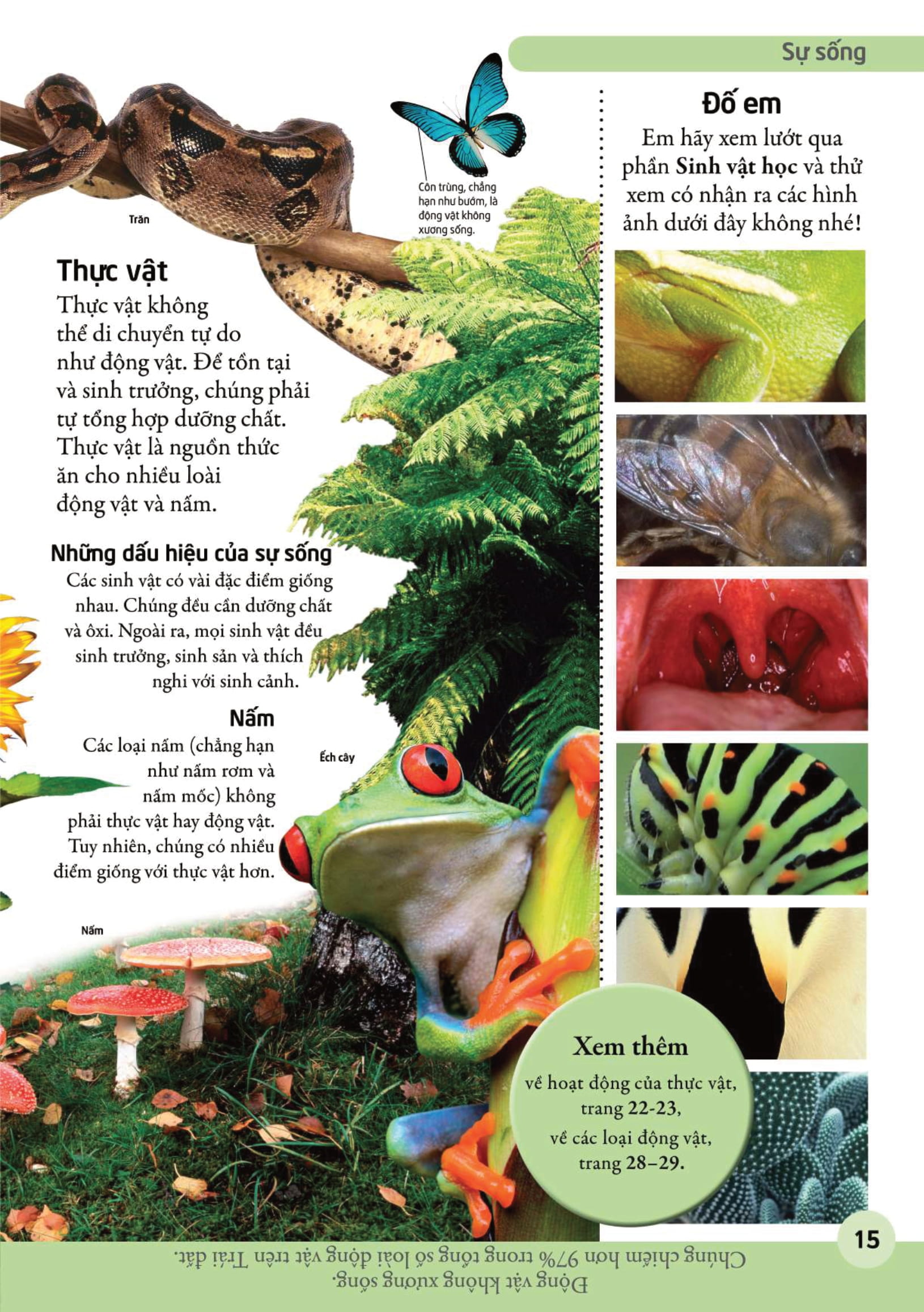 bách khoa cho trẻ em - bách khoa khoa học - Ảnh 15