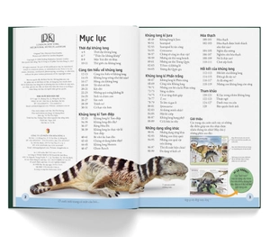 bách khoa cho trẻ em - bách khoa khủng long - Ảnh 3