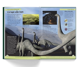 bách khoa cho trẻ em - bách khoa khủng long - Ảnh 4