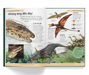 bách khoa cho trẻ em - bách khoa khủng long - Ảnh 5