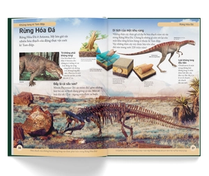 bách khoa cho trẻ em - bách khoa khủng long - Ảnh 6