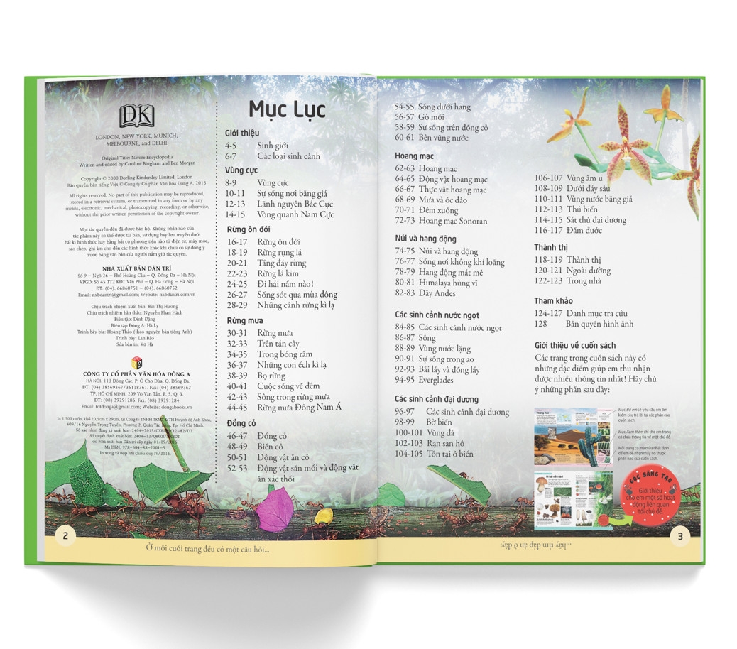 bách khoa cho trẻ em - bách khoa tự nhiên - Ảnh 4