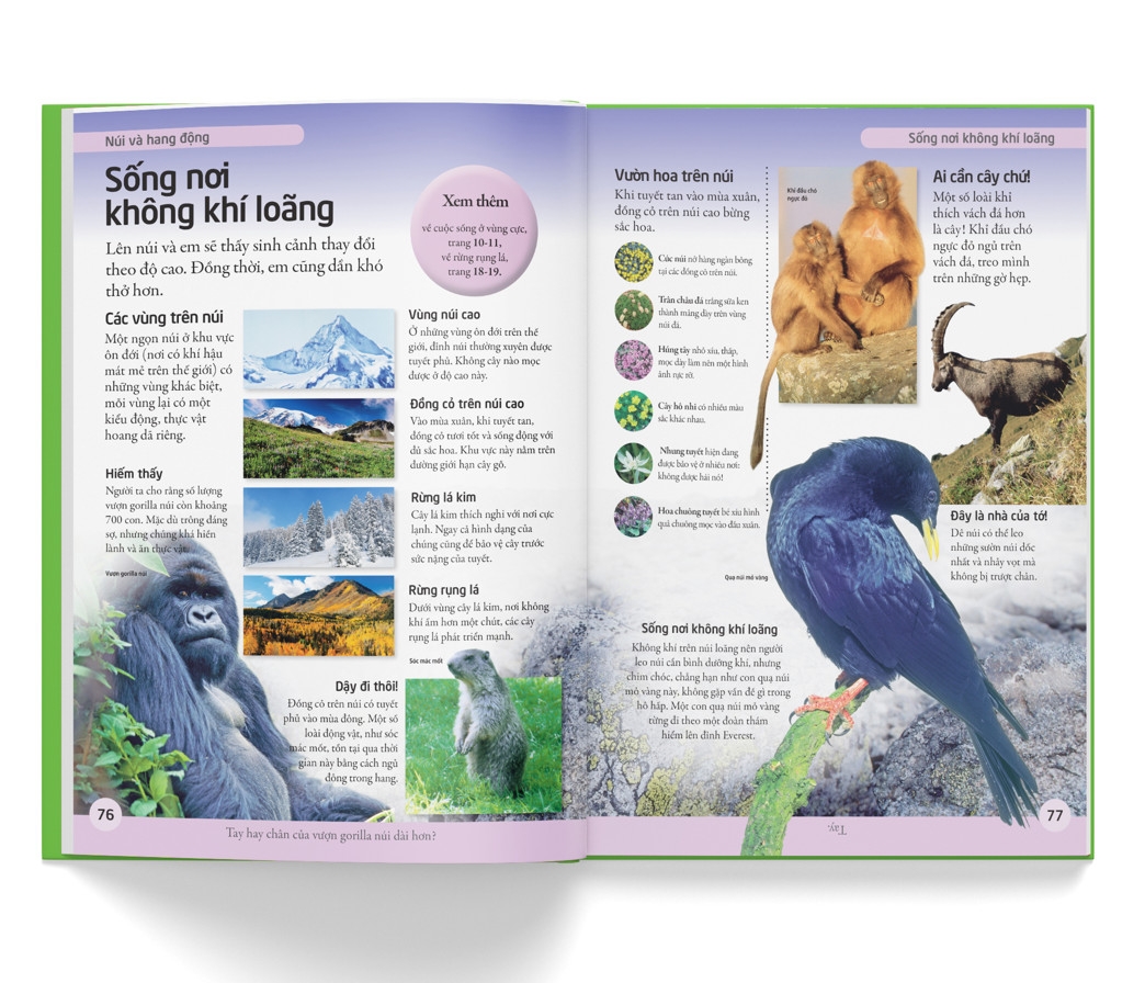 bách khoa cho trẻ em - bách khoa tự nhiên - Ảnh 6