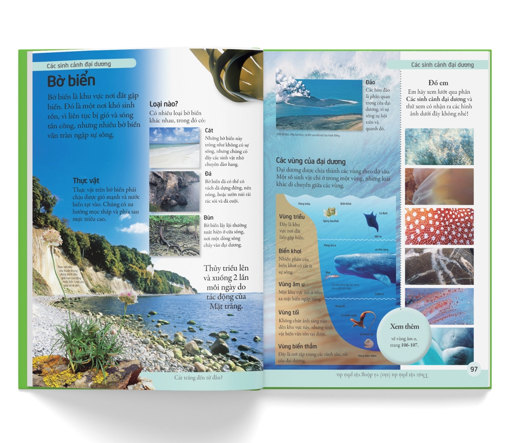 bách khoa cho trẻ em - bách khoa tự nhiên - Ảnh 7