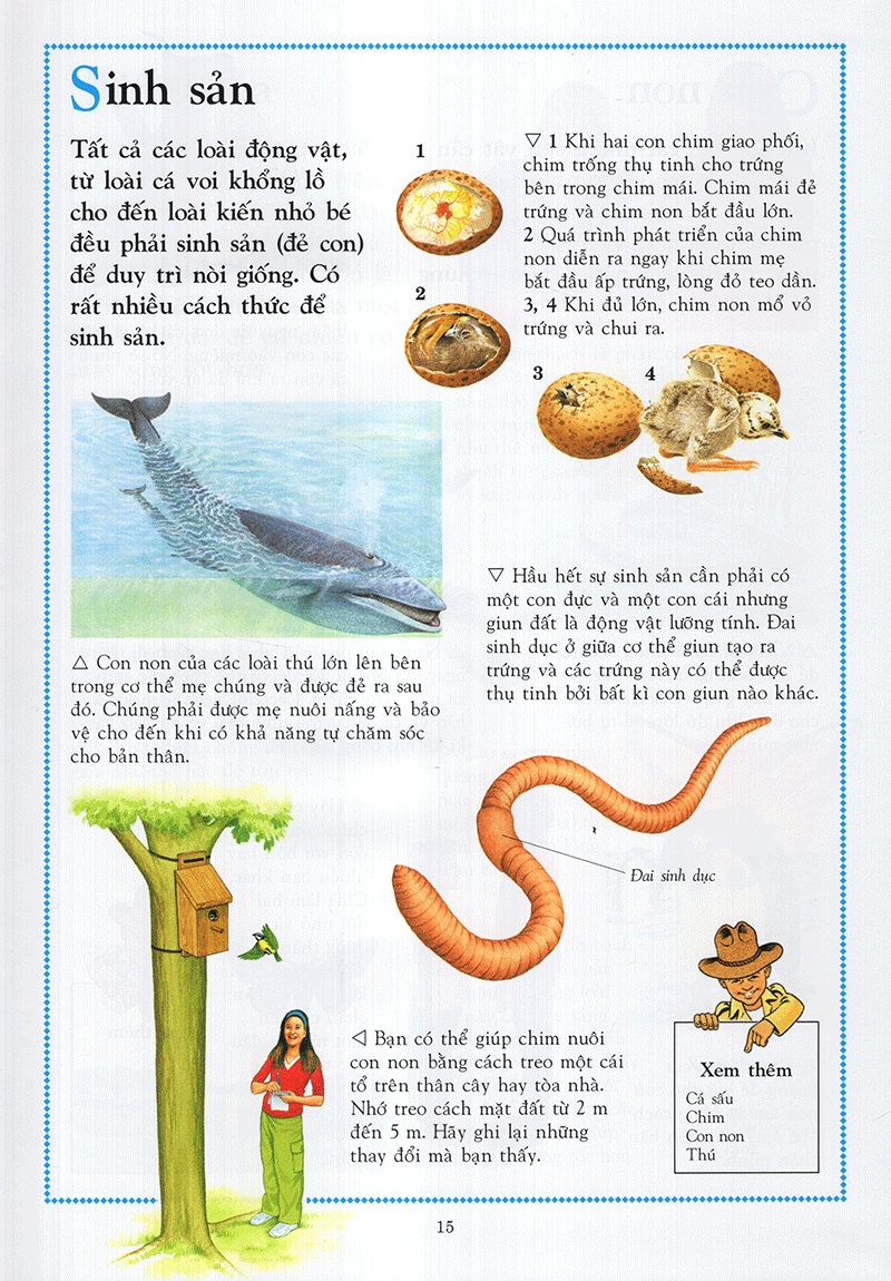 Bách Khoa Động Vật Cho Trẻ Em - Ảnh 10