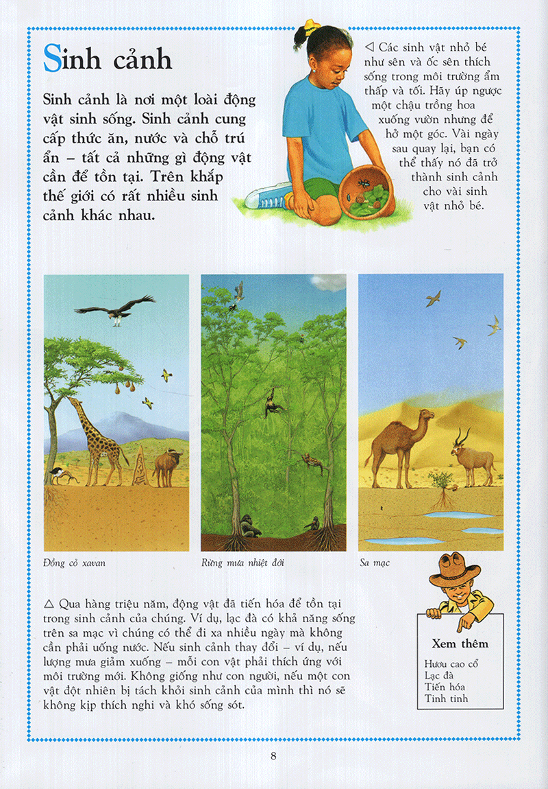 Bách Khoa Động Vật Cho Trẻ Em - Ảnh 3