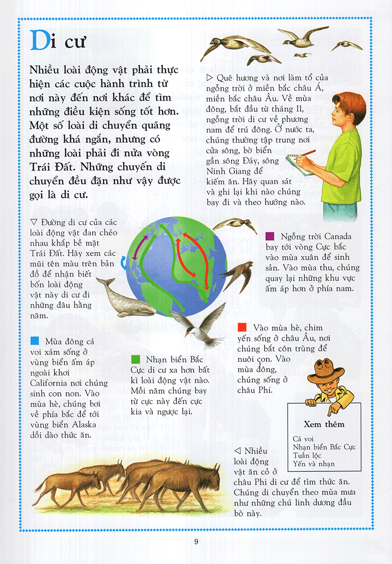 Bách Khoa Động Vật Cho Trẻ Em - Ảnh 4