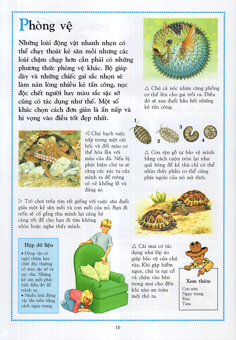 Bách Khoa Động Vật Cho Trẻ Em - Ảnh 5