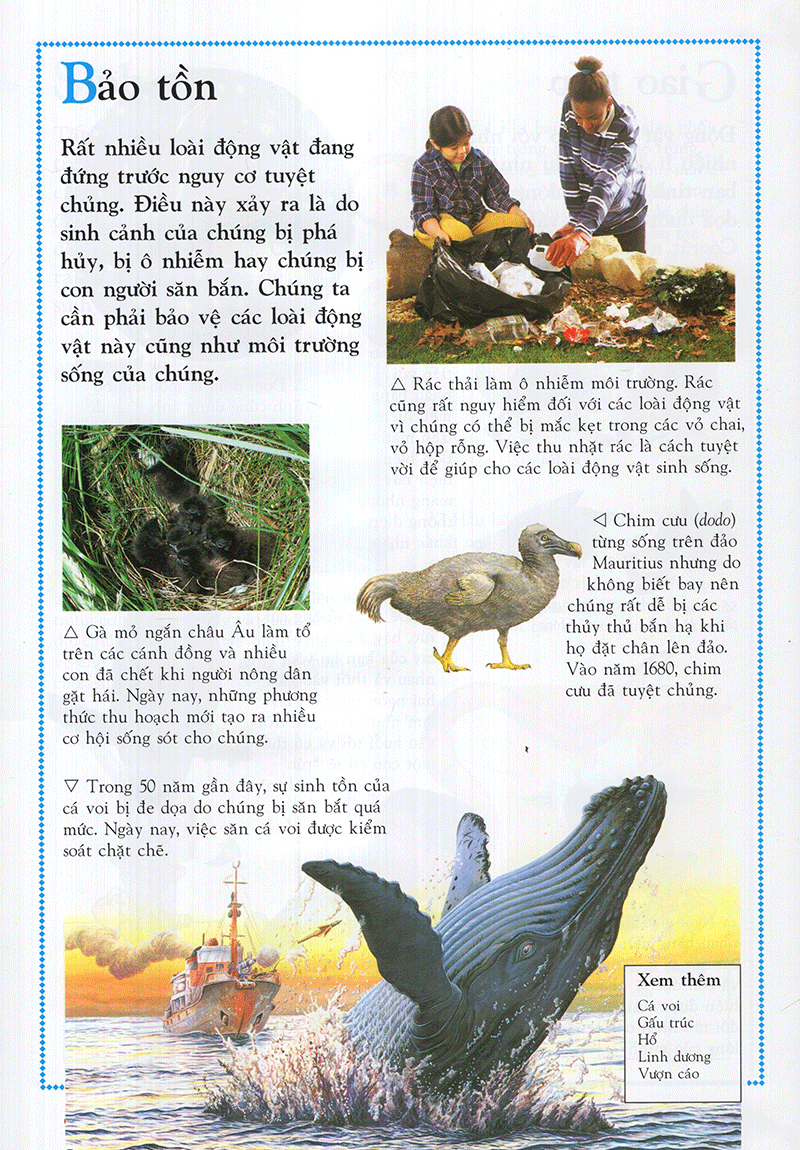 Bách Khoa Động Vật Cho Trẻ Em - Ảnh 8