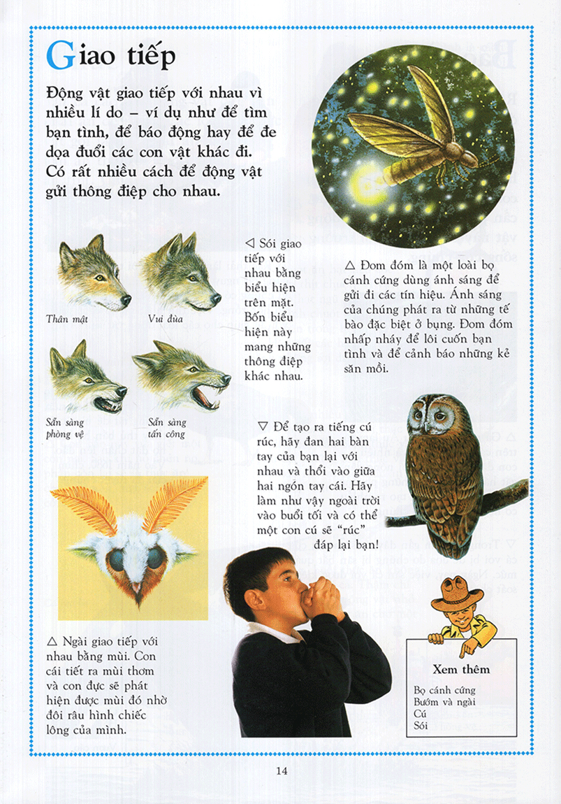 Bách Khoa Động Vật Cho Trẻ Em - Ảnh 9