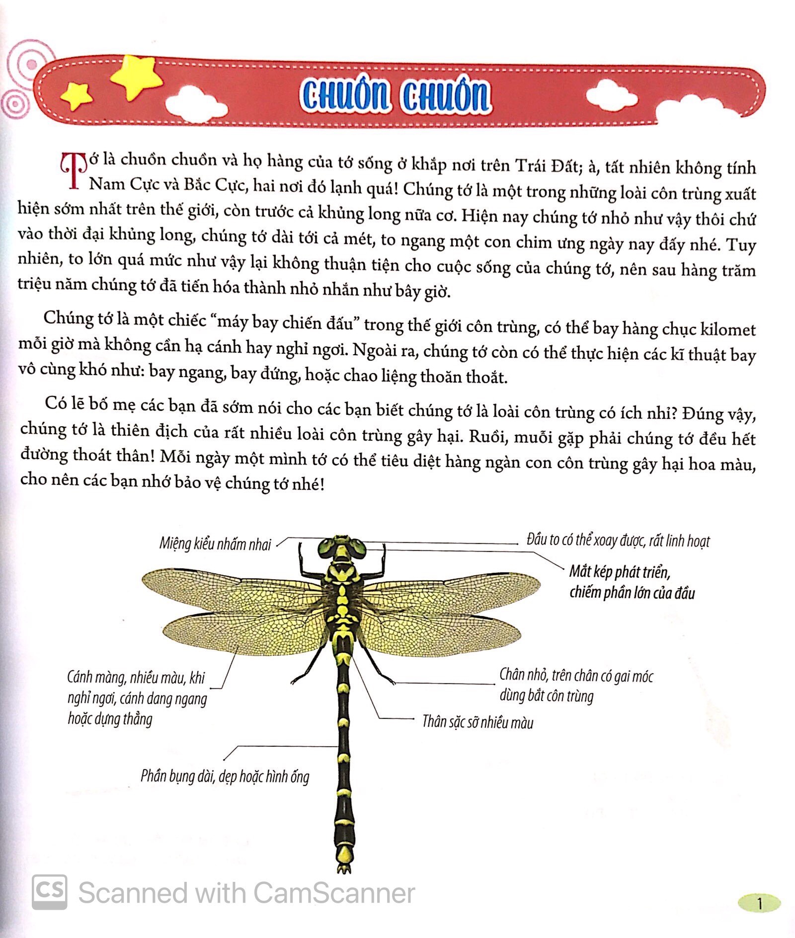 Bách Khoa Động Vật Dành Cho Trẻ Nhỏ - Côn Trùng (Tái Bản 2025) - Ảnh 4