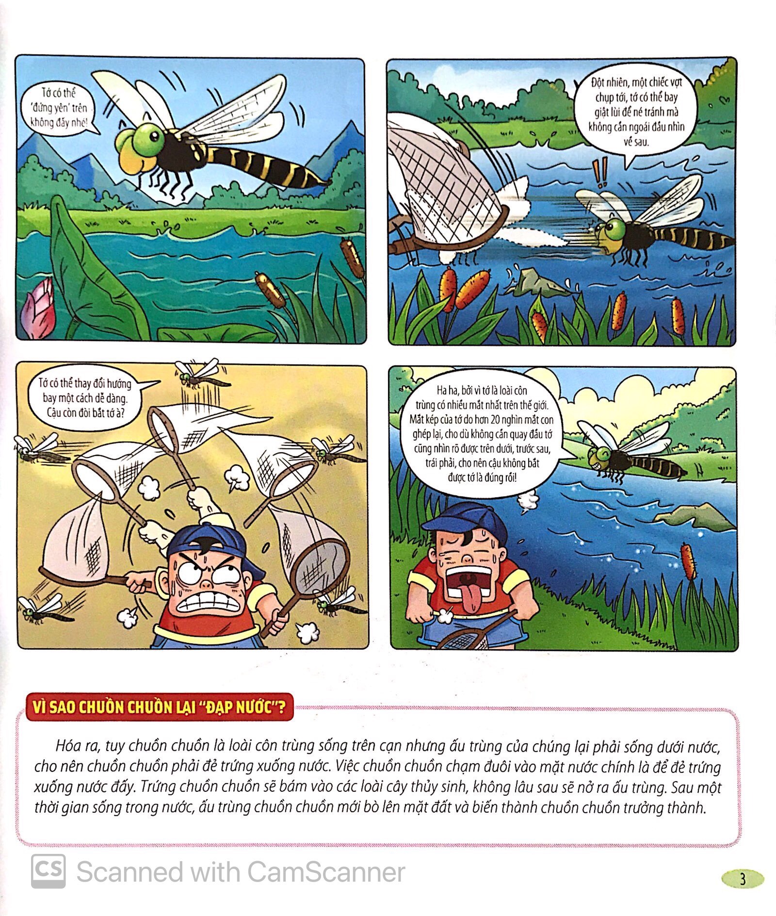 Bách Khoa Động Vật Dành Cho Trẻ Nhỏ - Côn Trùng (Tái Bản 2025) - Ảnh 6