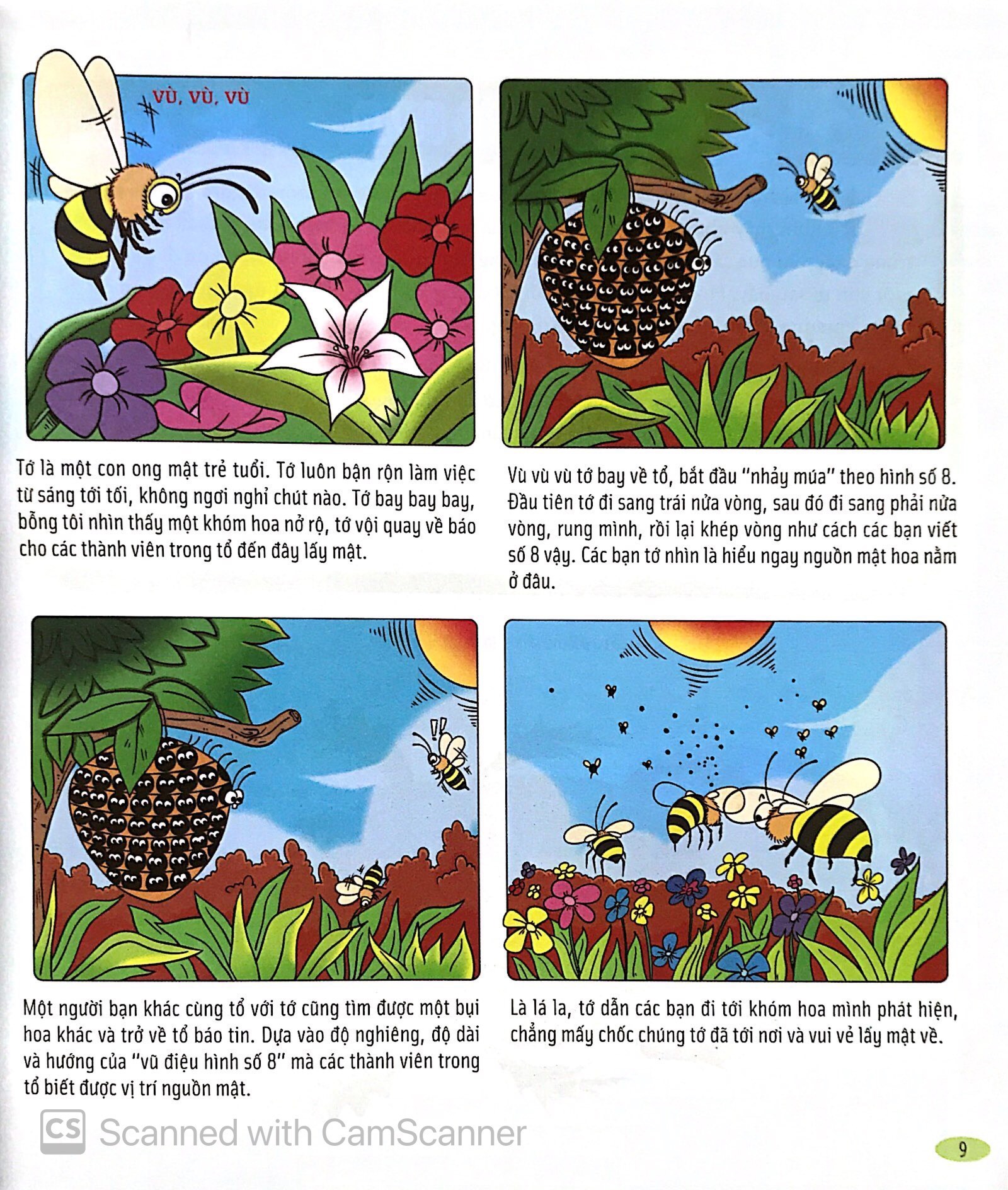 Bách Khoa Động Vật Dành Cho Trẻ Nhỏ - Côn Trùng (Tái Bản 2025) - Ảnh 9