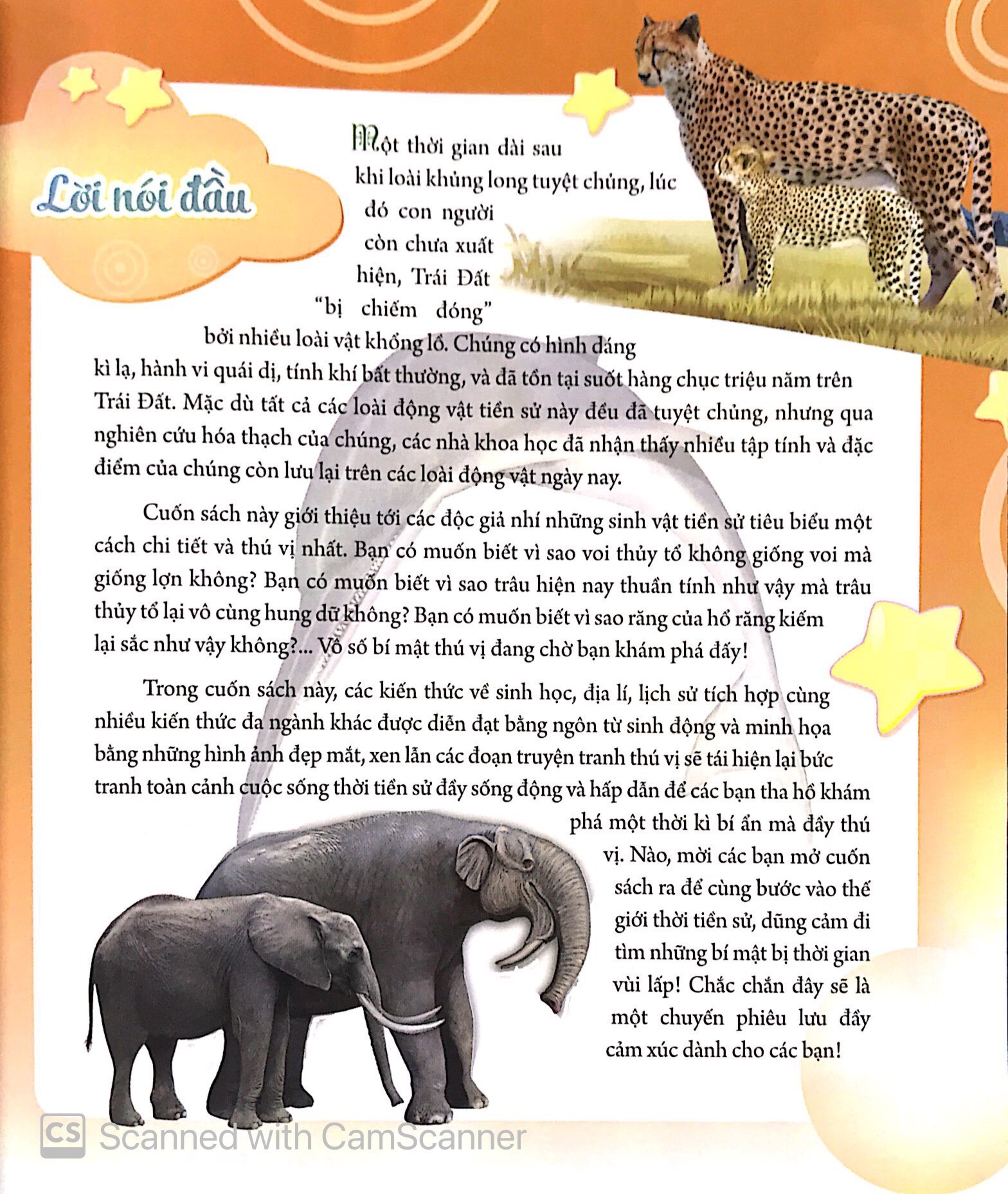 Bách Khoa Động Vật Dành Cho Trẻ Nhỏ - Động Vật Tiền Sử (Tái Bản 2025) - Ảnh 2