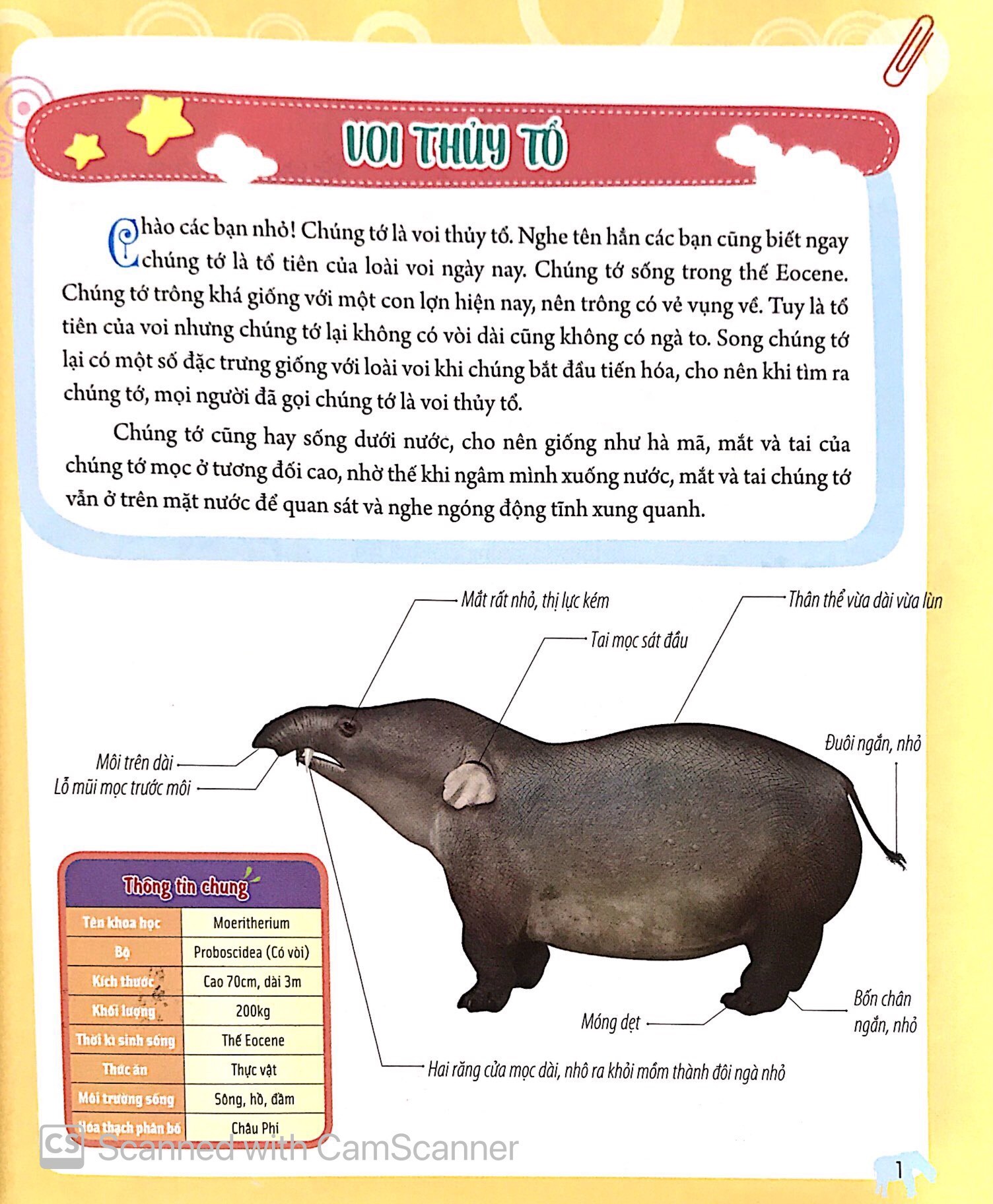 Bách Khoa Động Vật Dành Cho Trẻ Nhỏ - Động Vật Tiền Sử (Tái Bản 2025) - Ảnh 4