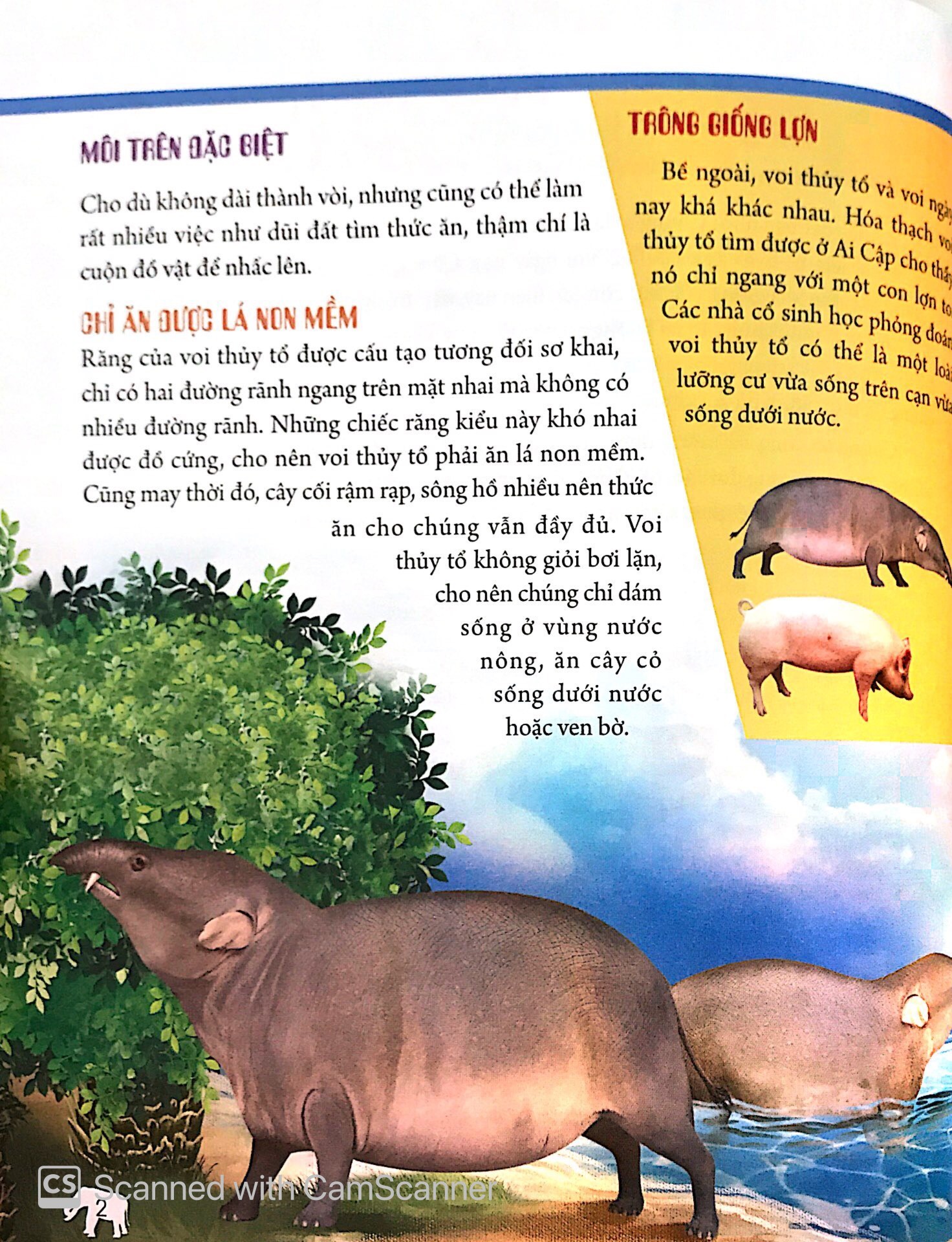 Bách Khoa Động Vật Dành Cho Trẻ Nhỏ - Động Vật Tiền Sử (Tái Bản 2025) - Ảnh 5