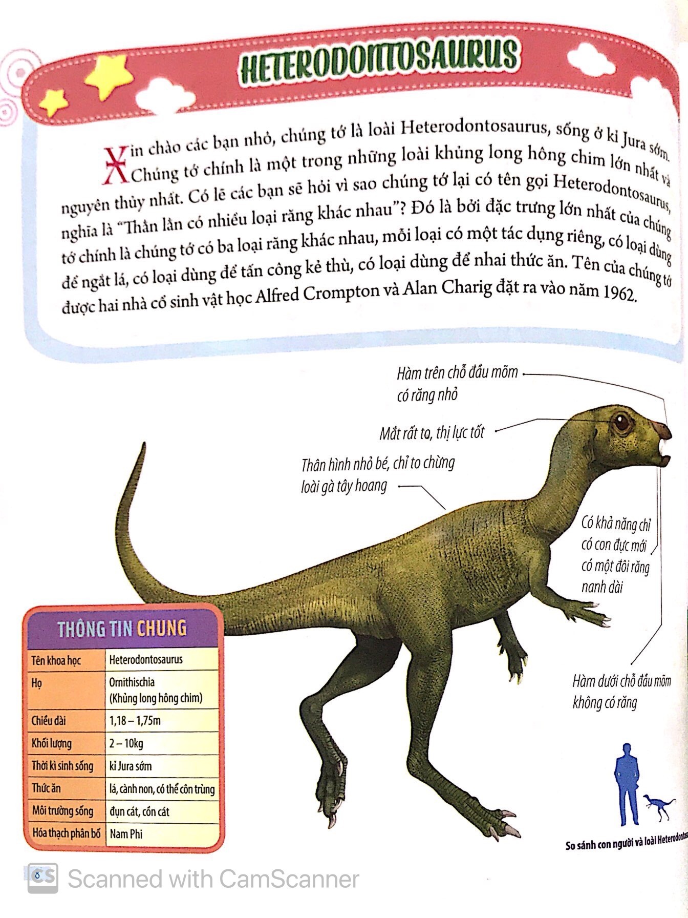 Bách Khoa Động Vật Dành Cho Trẻ Nhỏ - Khủng Long (Tái Bản 2025) - Ảnh 11
