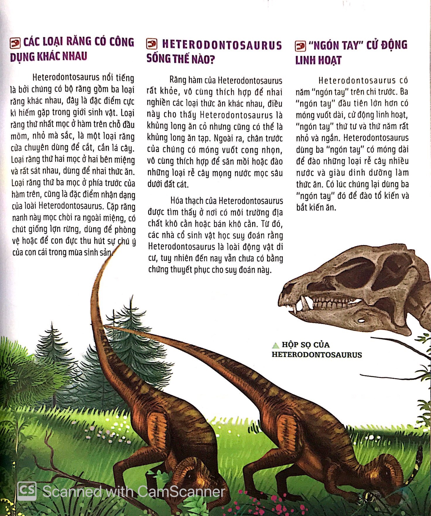 Bách Khoa Động Vật Dành Cho Trẻ Nhỏ - Khủng Long (Tái Bản 2025) - Ảnh 12
