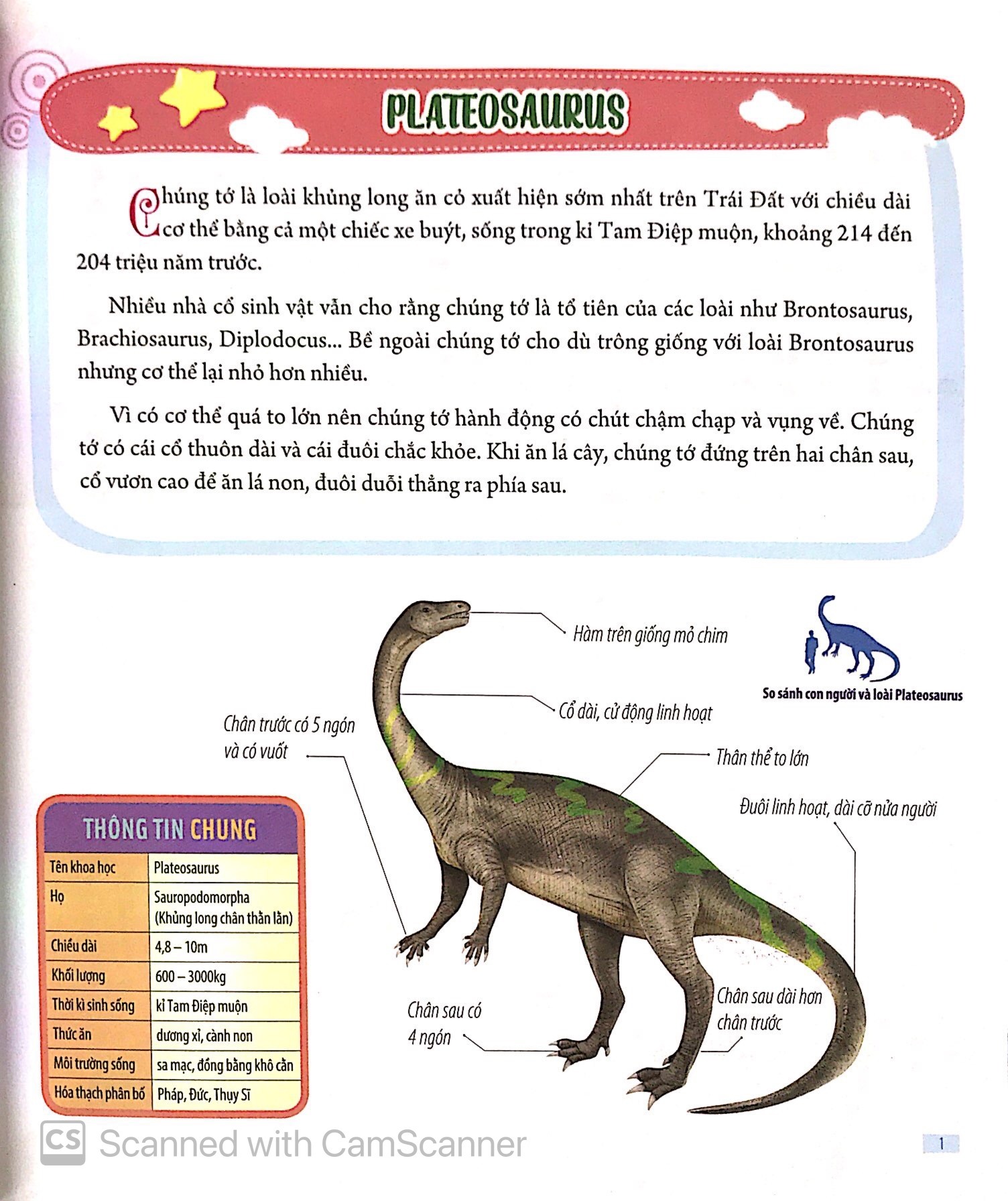 Bách Khoa Động Vật Dành Cho Trẻ Nhỏ - Khủng Long (Tái Bản 2025) - Ảnh 4