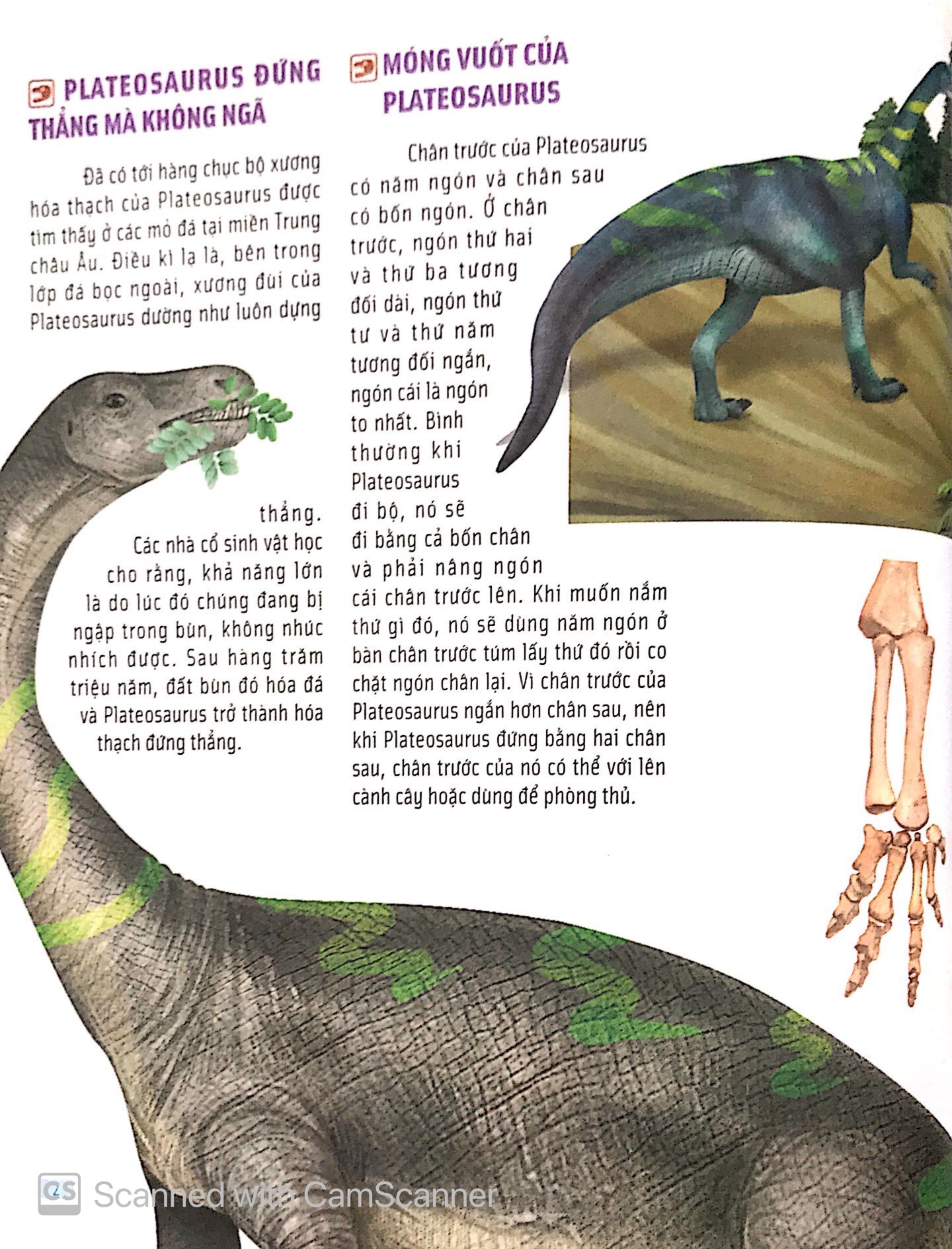 Bách Khoa Động Vật Dành Cho Trẻ Nhỏ - Khủng Long (Tái Bản 2025) - Ảnh 5