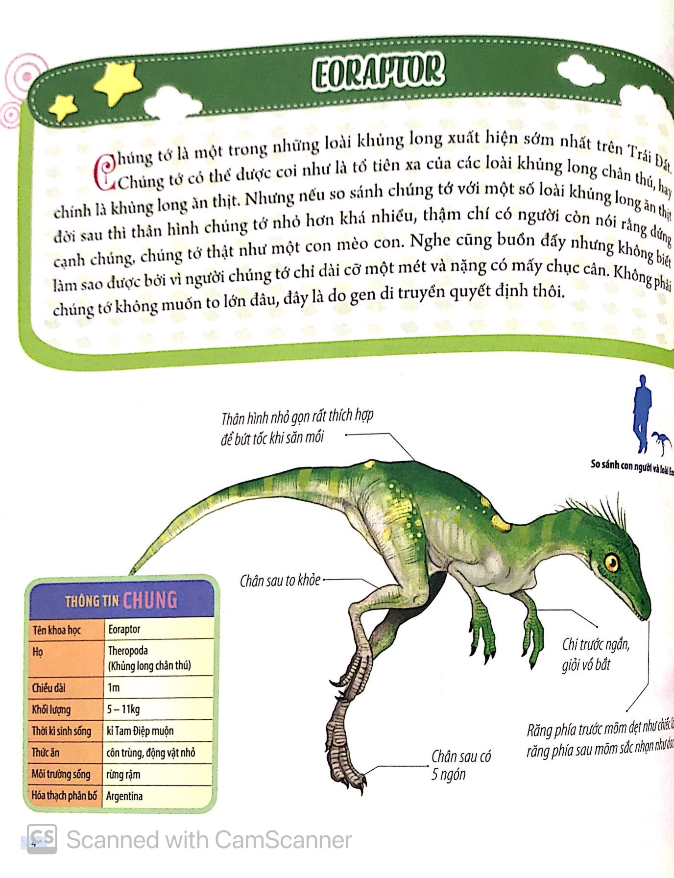Bách Khoa Động Vật Dành Cho Trẻ Nhỏ - Khủng Long (Tái Bản 2025) - Ảnh 7