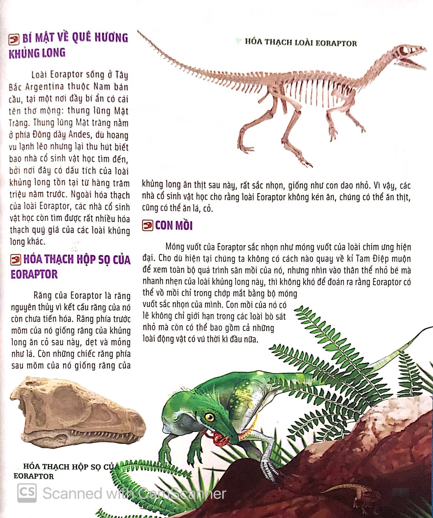Bách Khoa Động Vật Dành Cho Trẻ Nhỏ - Khủng Long (Tái Bản 2025) - Ảnh 8
