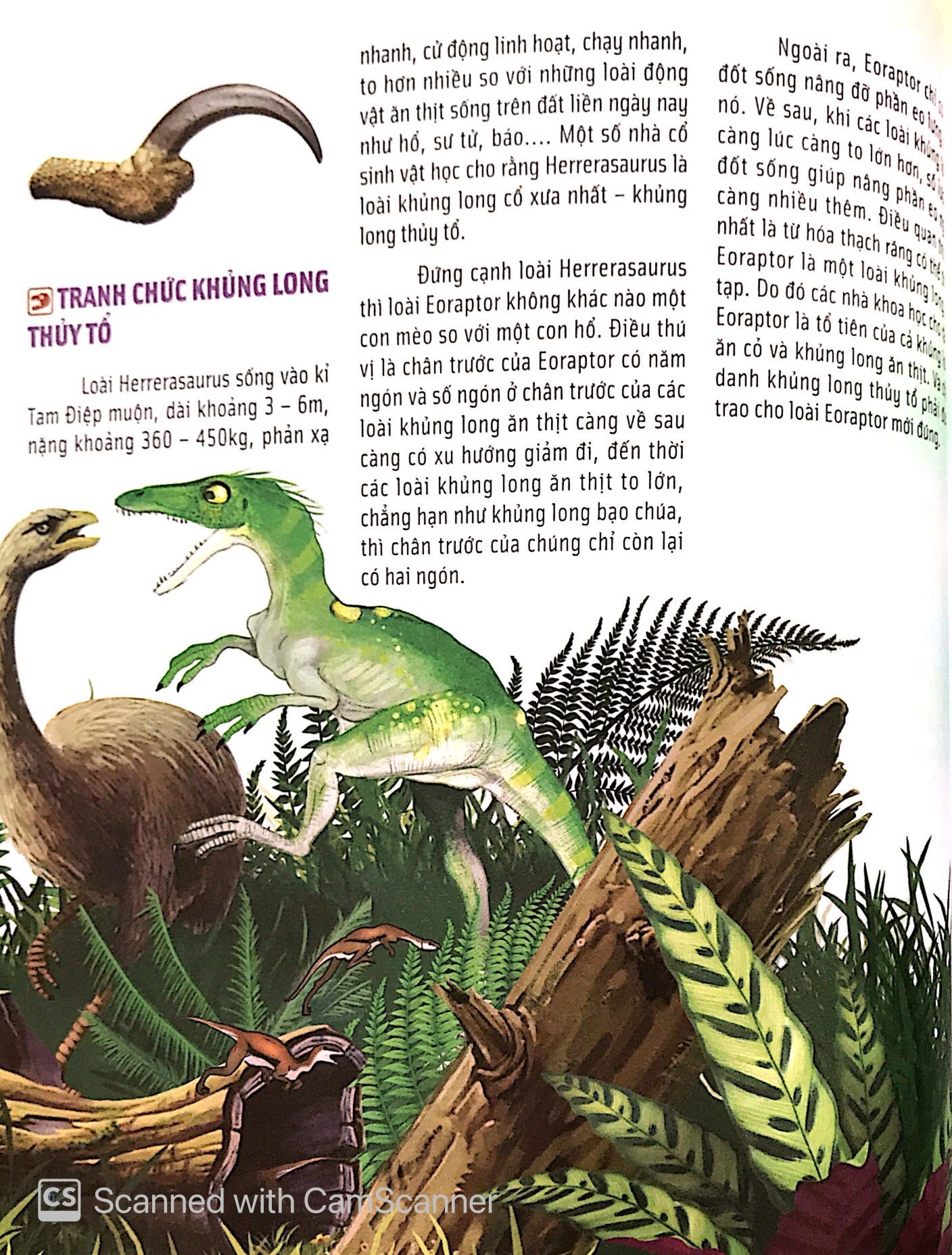 Bách Khoa Động Vật Dành Cho Trẻ Nhỏ - Khủng Long (Tái Bản 2025) - Ảnh 9