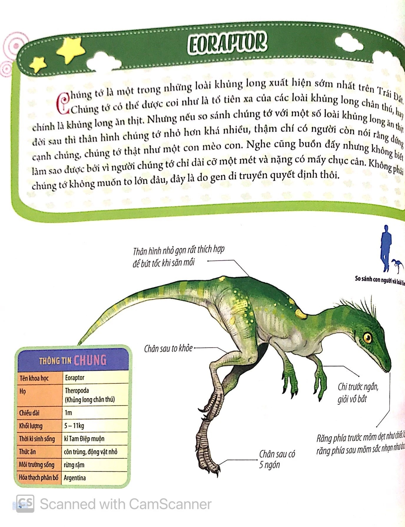 Bách Khoa Động Vật Dành Cho Trẻ Nhỏ - Khủng Long (Tái Bản 2026) - Ảnh 7
