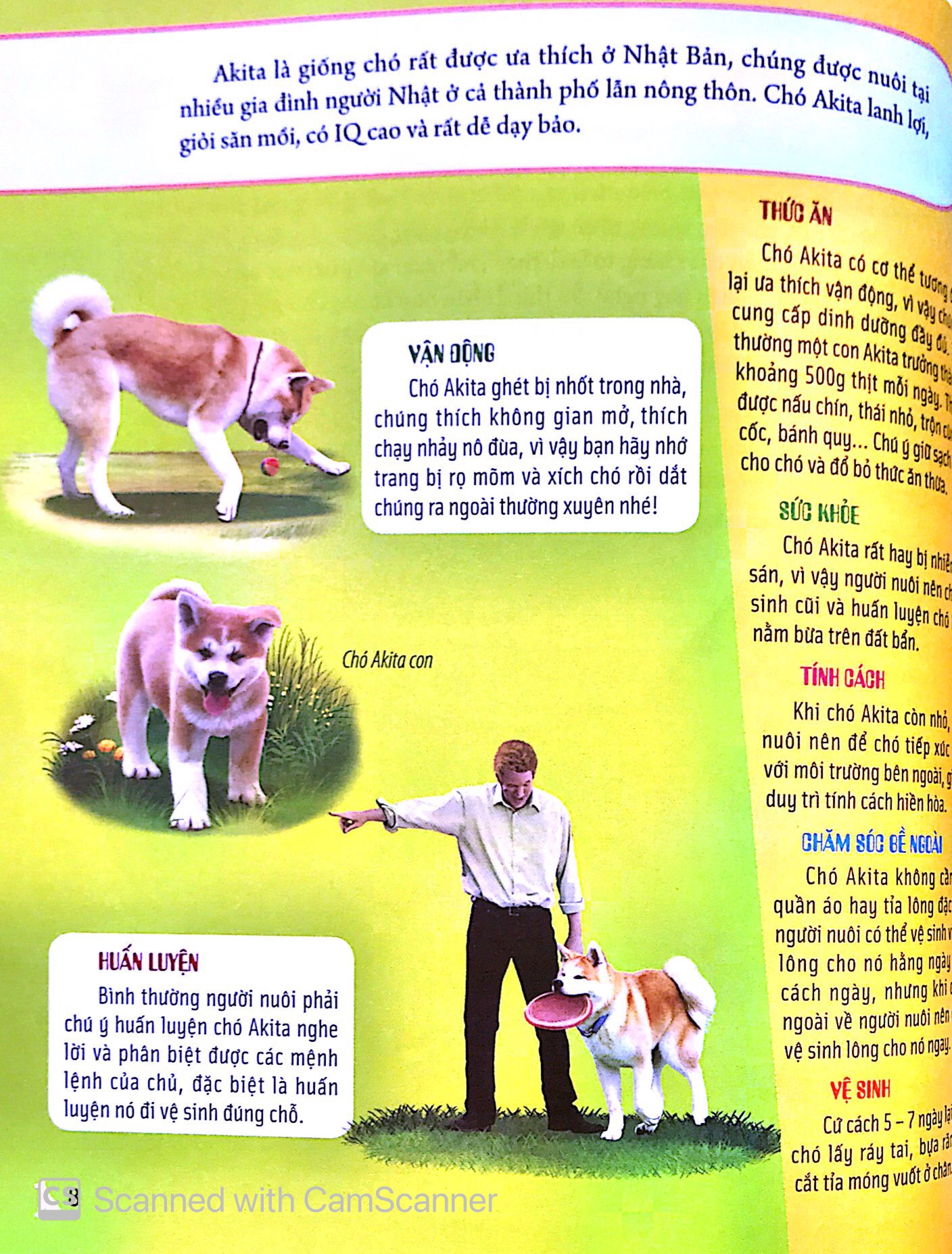 bách khoa động vật dành cho trẻ nhỏ - thú cưng - Ảnh 12