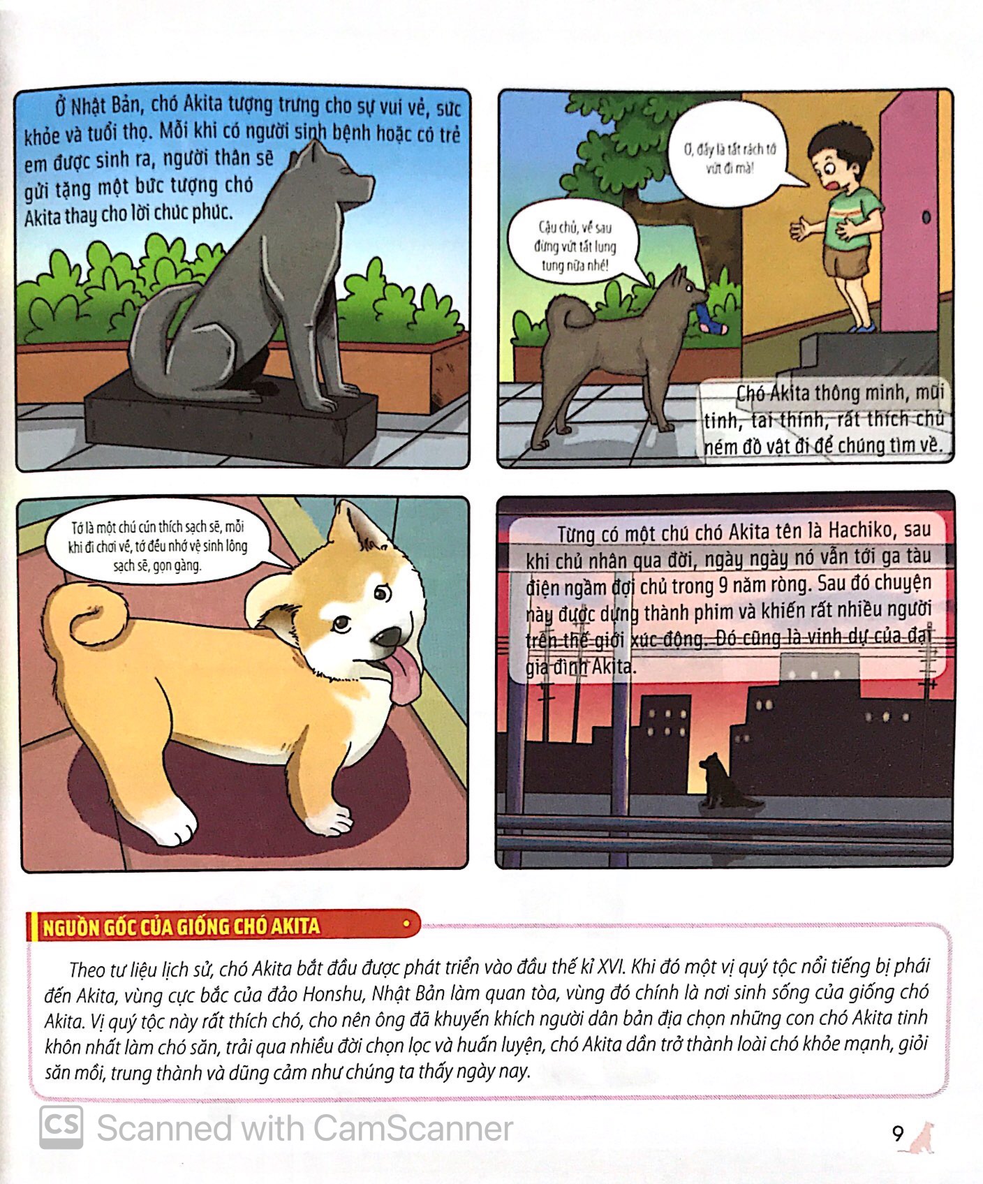 bách khoa động vật dành cho trẻ nhỏ - thú cưng - Ảnh 13