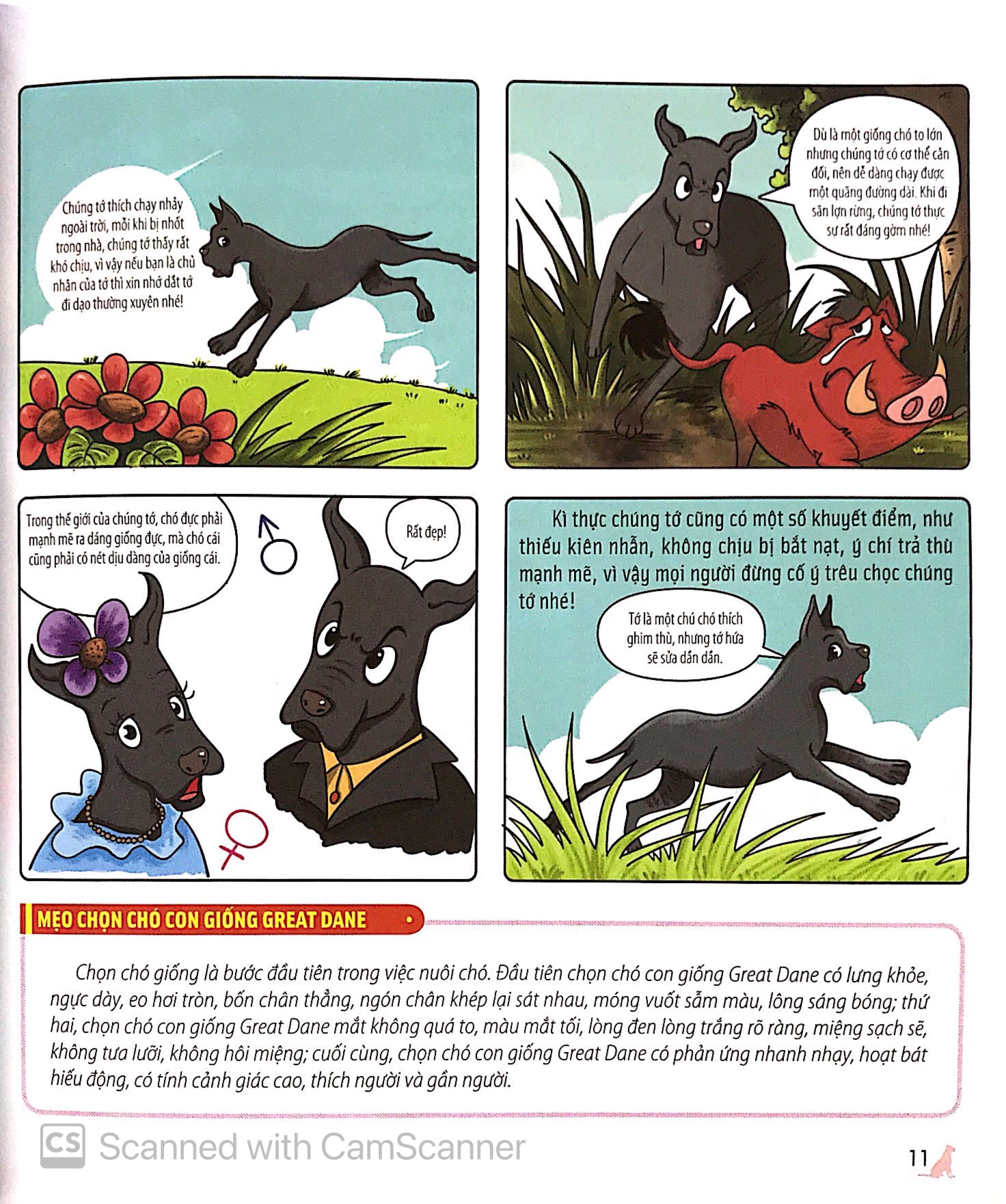 bách khoa động vật dành cho trẻ nhỏ - thú cưng - Ảnh 15