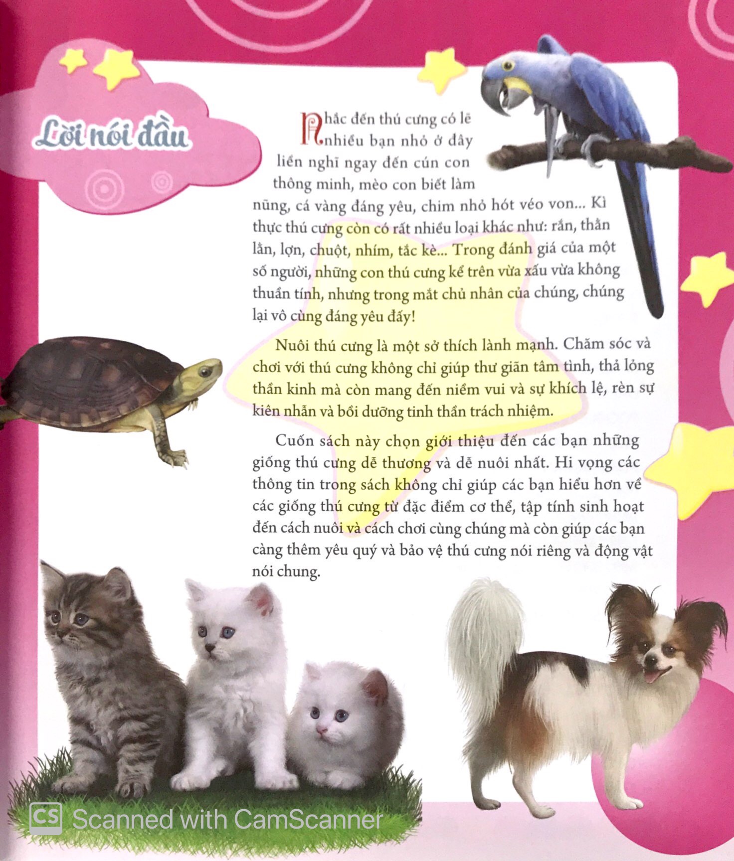 bách khoa động vật dành cho trẻ nhỏ - thú cưng - Ảnh 3