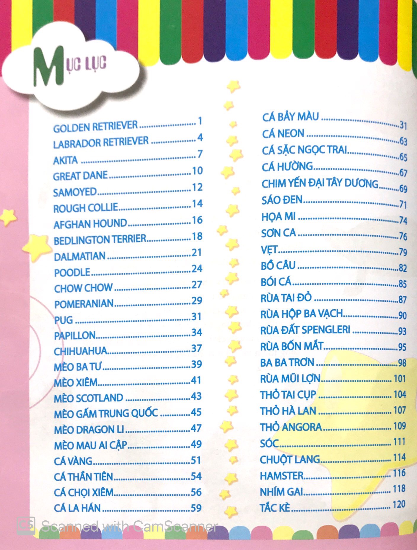 bách khoa động vật dành cho trẻ nhỏ - thú cưng - Ảnh 4