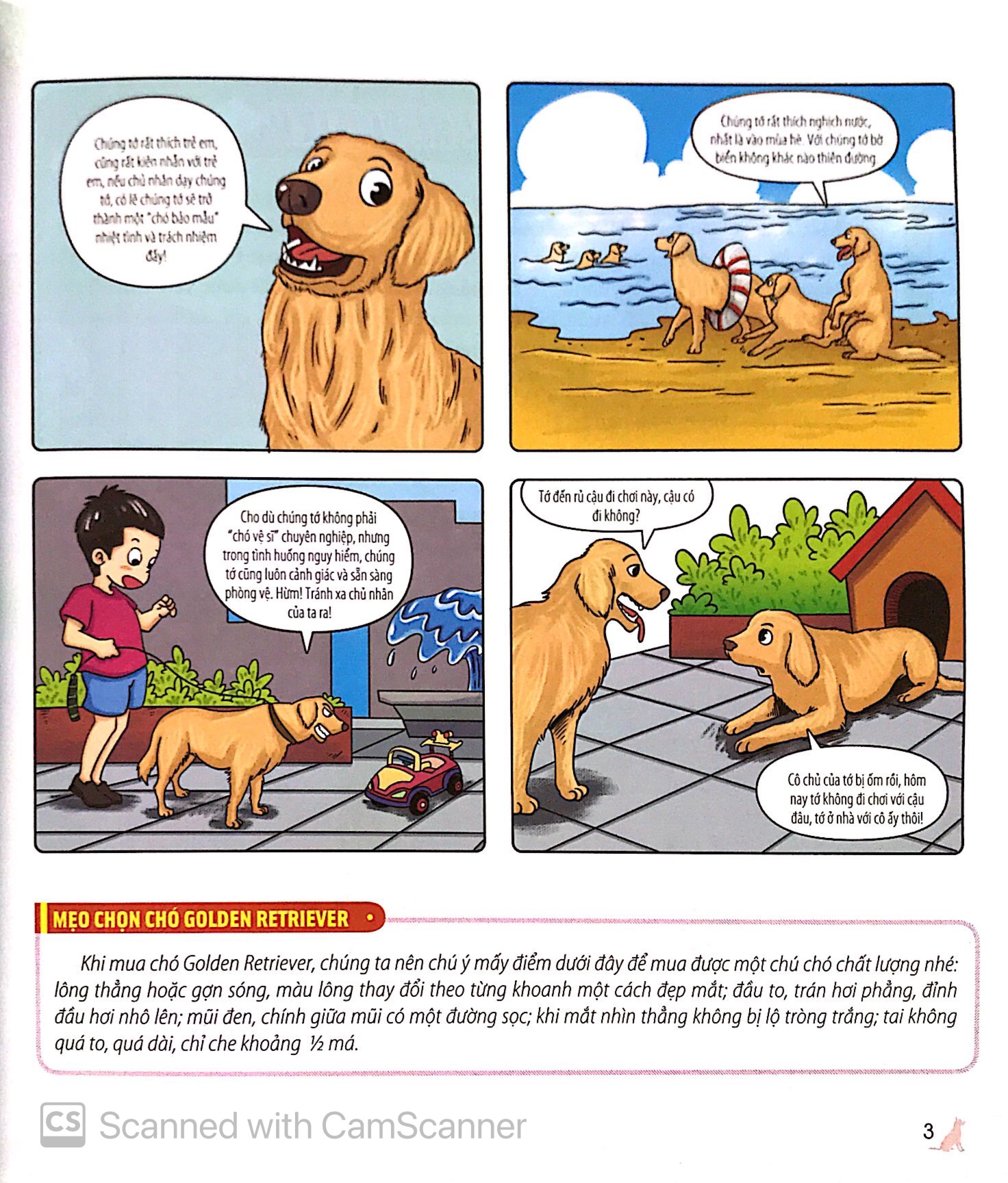 bách khoa động vật dành cho trẻ nhỏ - thú cưng - Ảnh 7