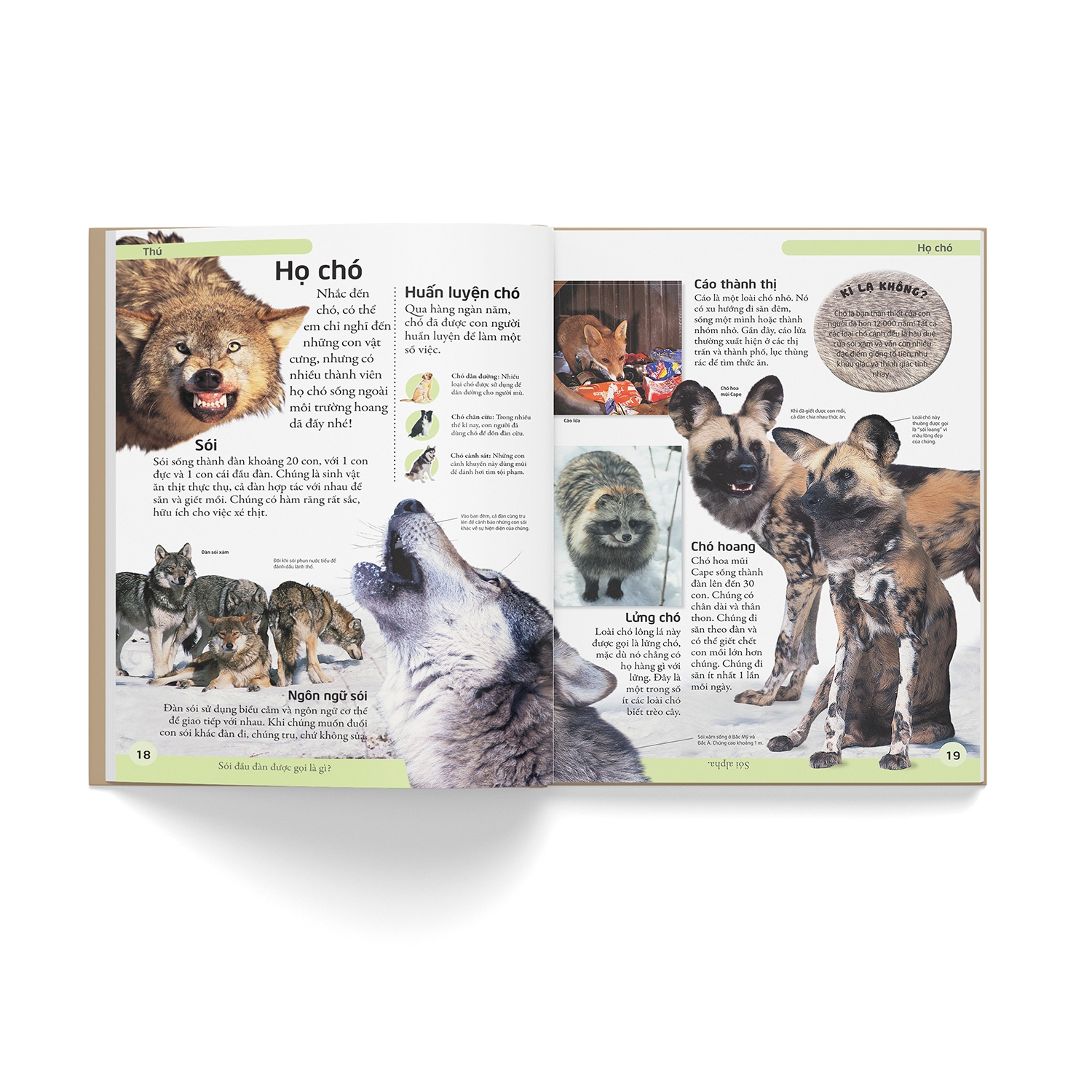 bách khoa động vật - mở mang kiến thức, khơi dậy tiềm năng (tái bản 2021) - Ảnh 4