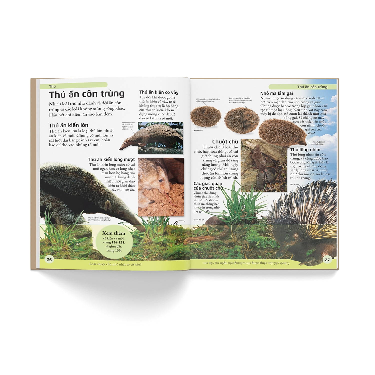 bách khoa động vật - mở mang kiến thức, khơi dậy tiềm năng (tái bản 2021) - Ảnh 5