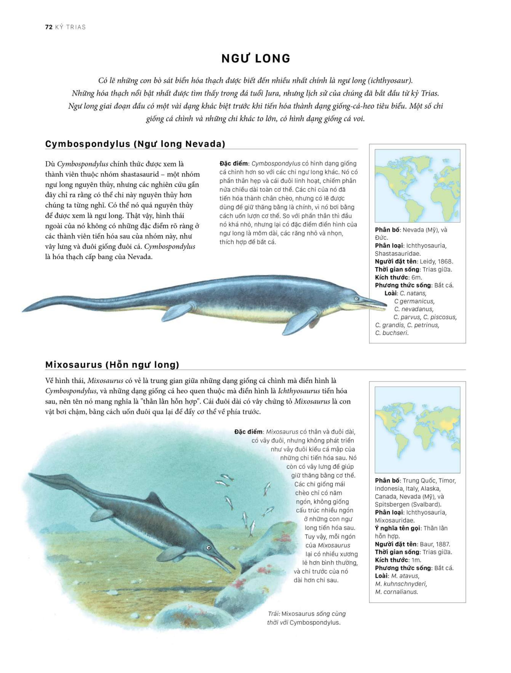 bách khoa khủng long toàn tập - bìa cứng - Ảnh 12