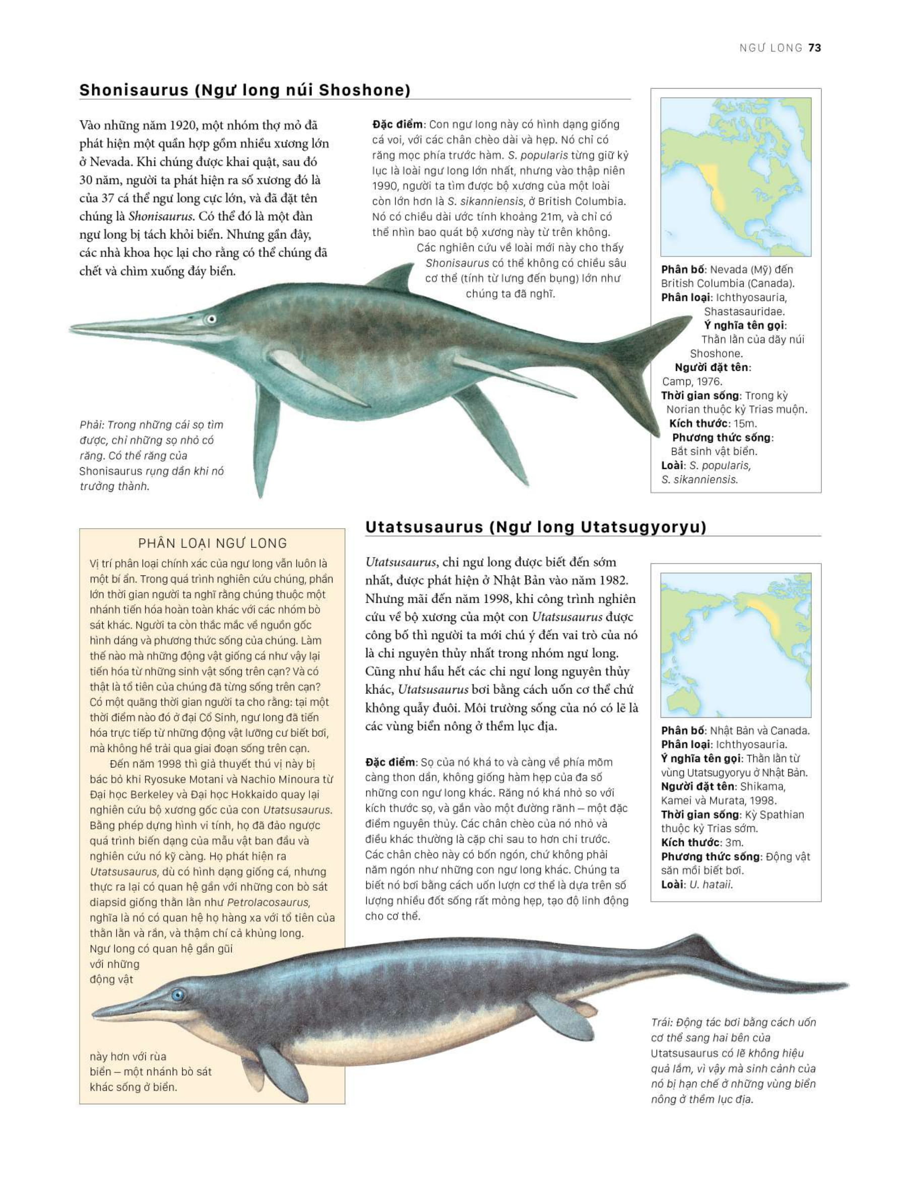 bách khoa khủng long toàn tập - bìa cứng - Ảnh 13