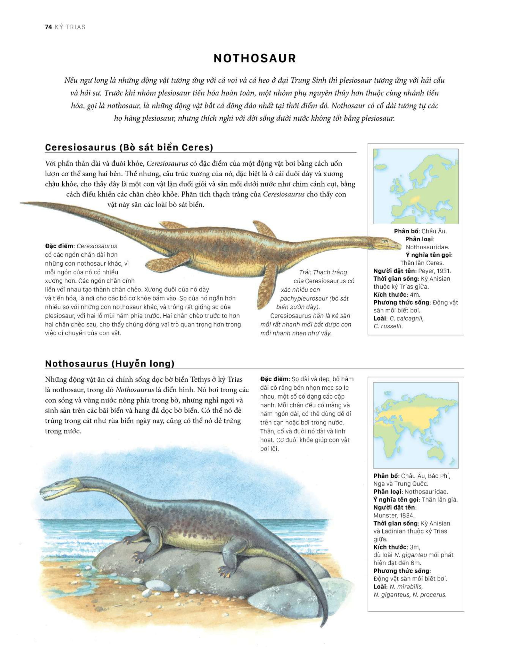 bách khoa khủng long toàn tập - bìa cứng - Ảnh 14