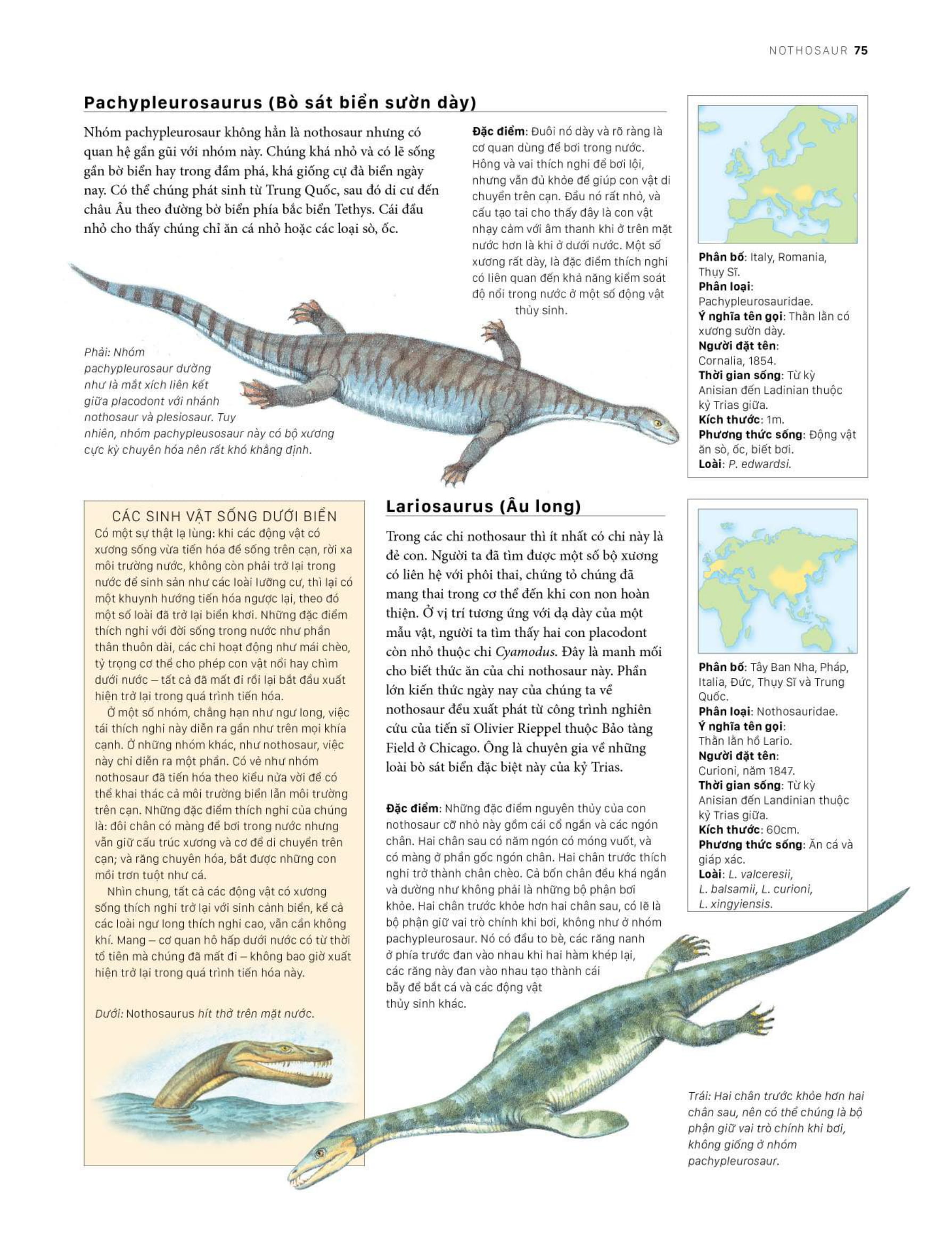 bách khoa khủng long toàn tập - bìa cứng - Ảnh 15