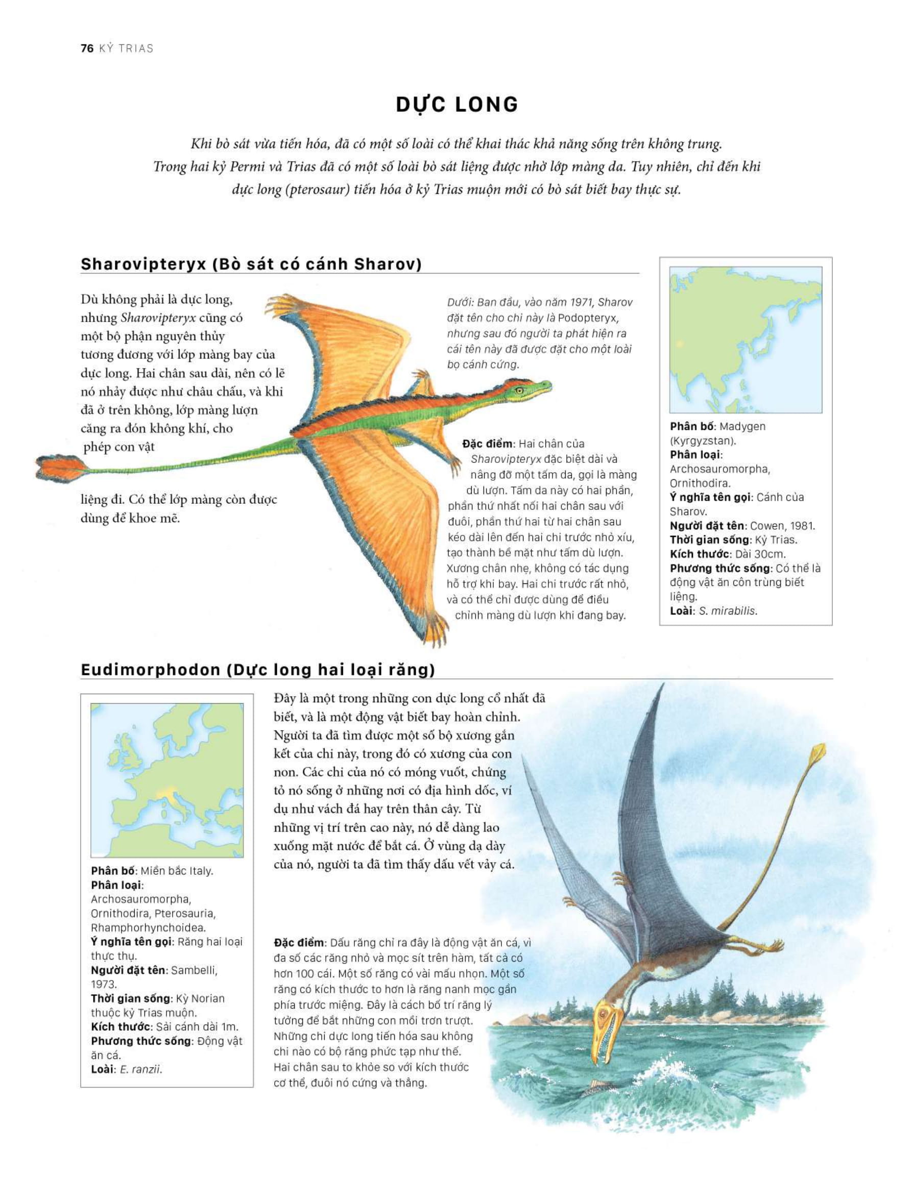 bách khoa khủng long toàn tập - bìa cứng - Ảnh 16