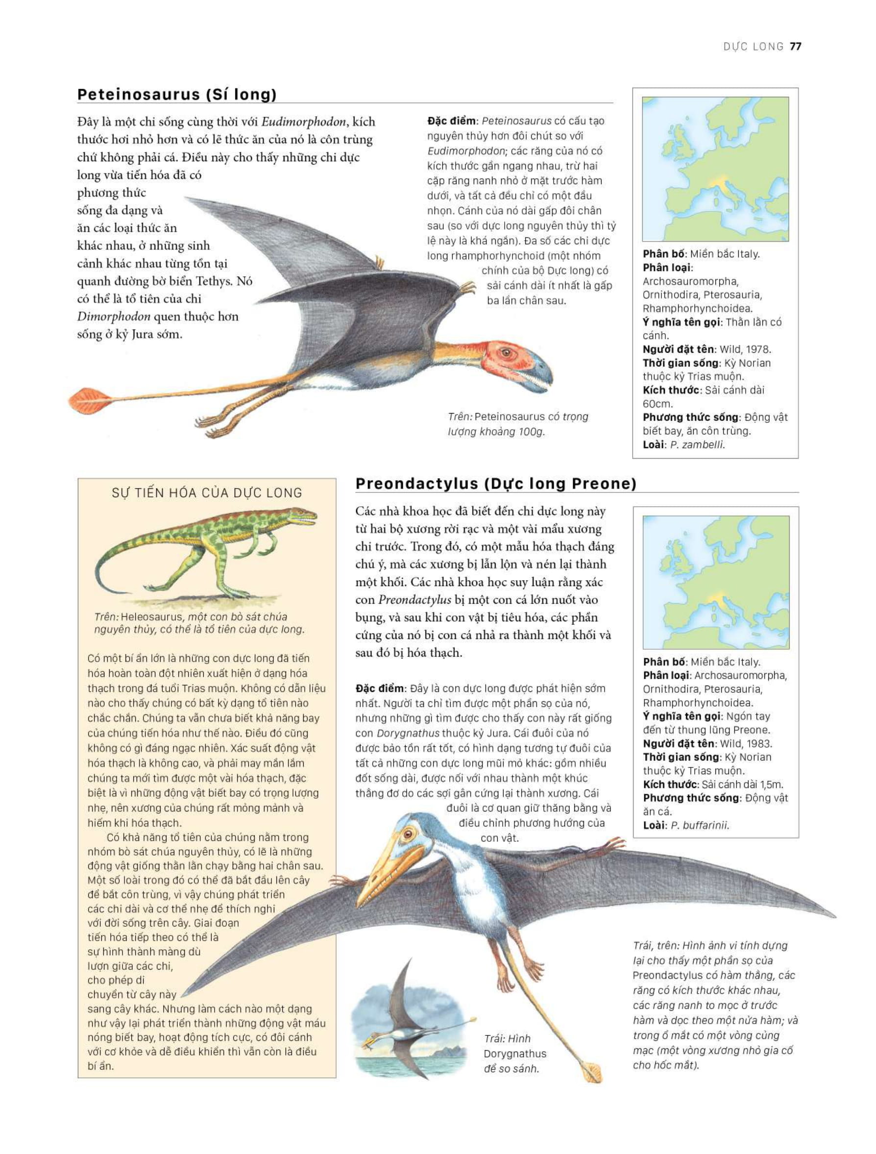 bách khoa khủng long toàn tập - bìa cứng - Ảnh 17
