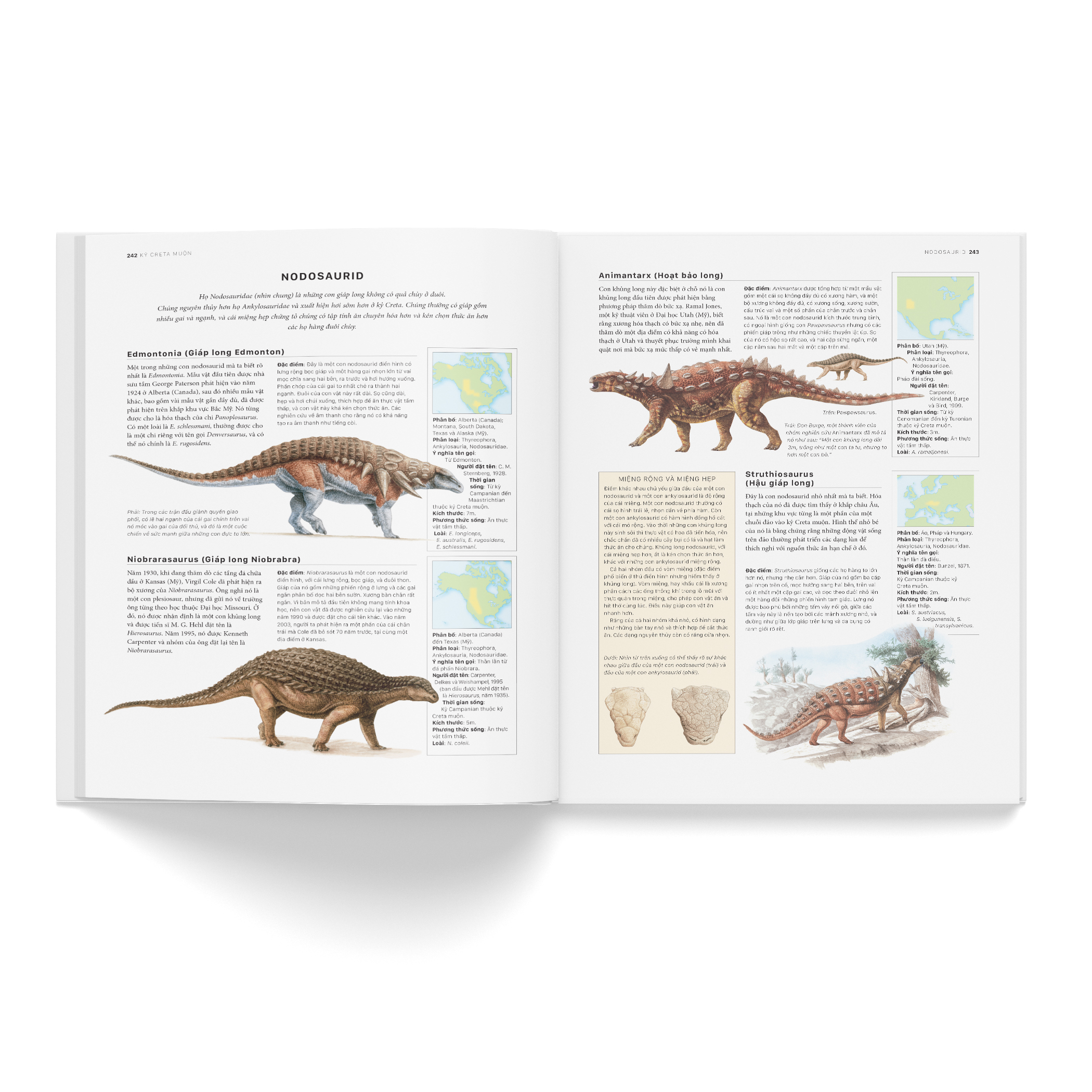 bách khoa khủng long toàn tập - bìa cứng - Ảnh 7