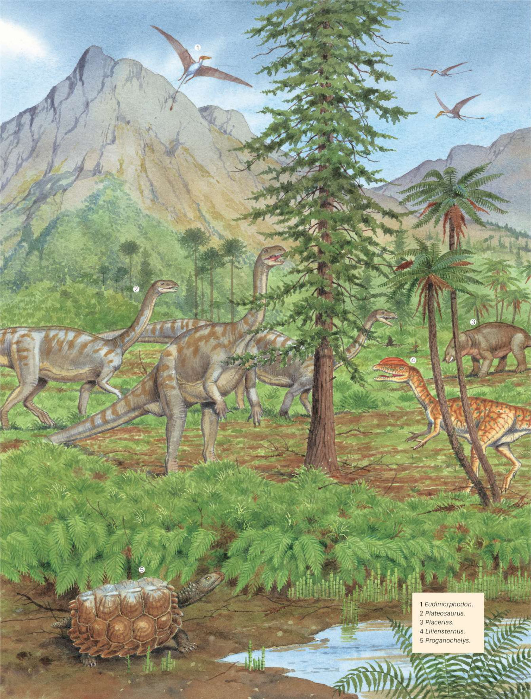 bách khoa khủng long toàn tập - bìa cứng - Ảnh 9