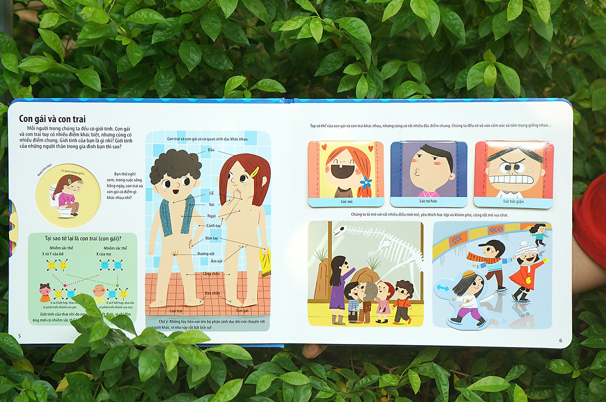 bách khoa kỹ năng sống đa tương tác - những bài học về giới tính giúp con trưởng thành khỏe mạnh - Ảnh 3
