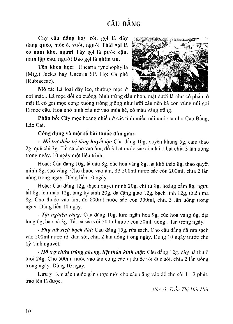 bách khoa những cây thuốc và vị thuốc việt nam - Ảnh 6