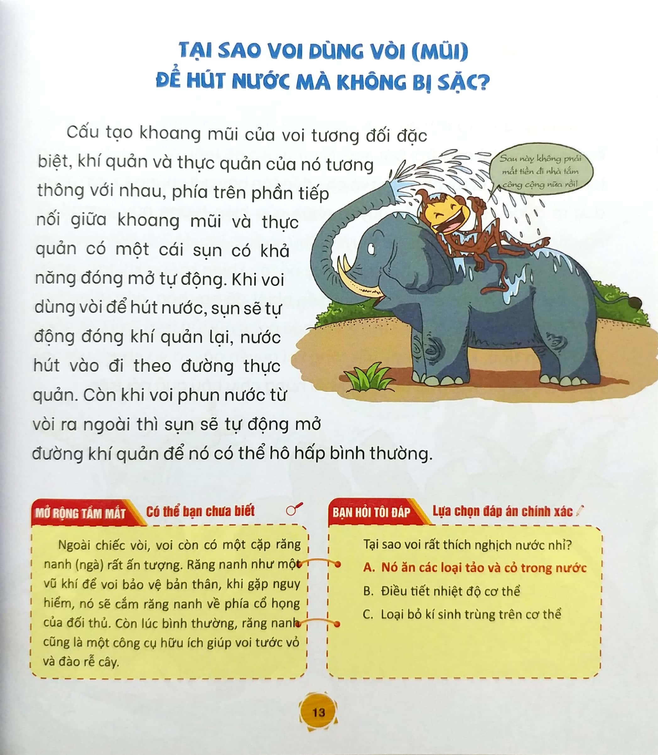 bách khoa thiếu nhi - 365 câu chuyện trí tuệ - hỏi đáp kiến thức thiên nhiên kỳ diệu (tái bản) - Ảnh 4