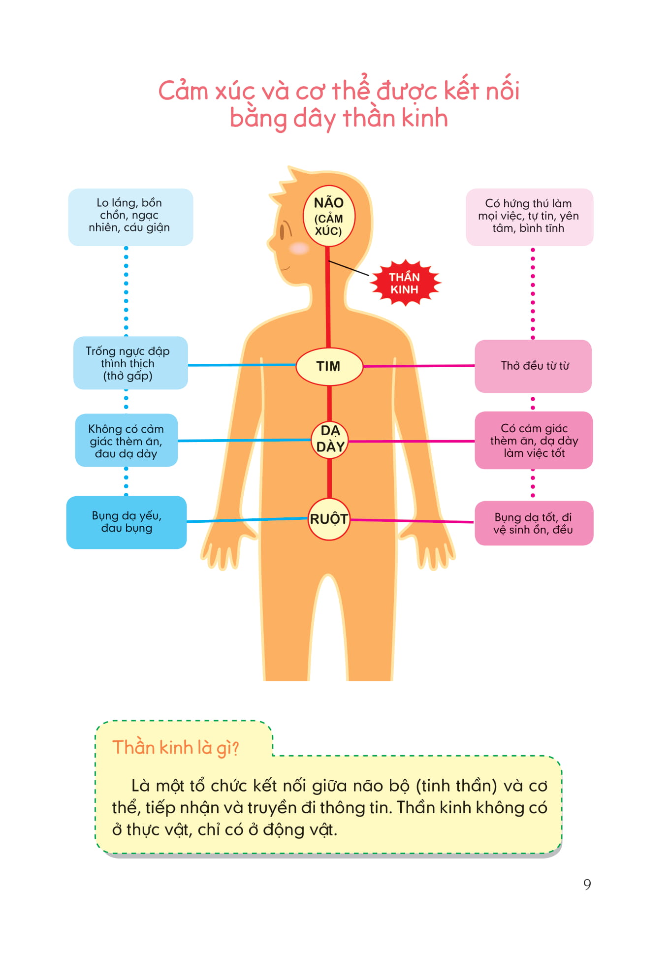 bách khoa thư bằng hình về sức khỏe cho học sinh - một tâm hồn đẹp, một trái tim đầy - Ảnh 7