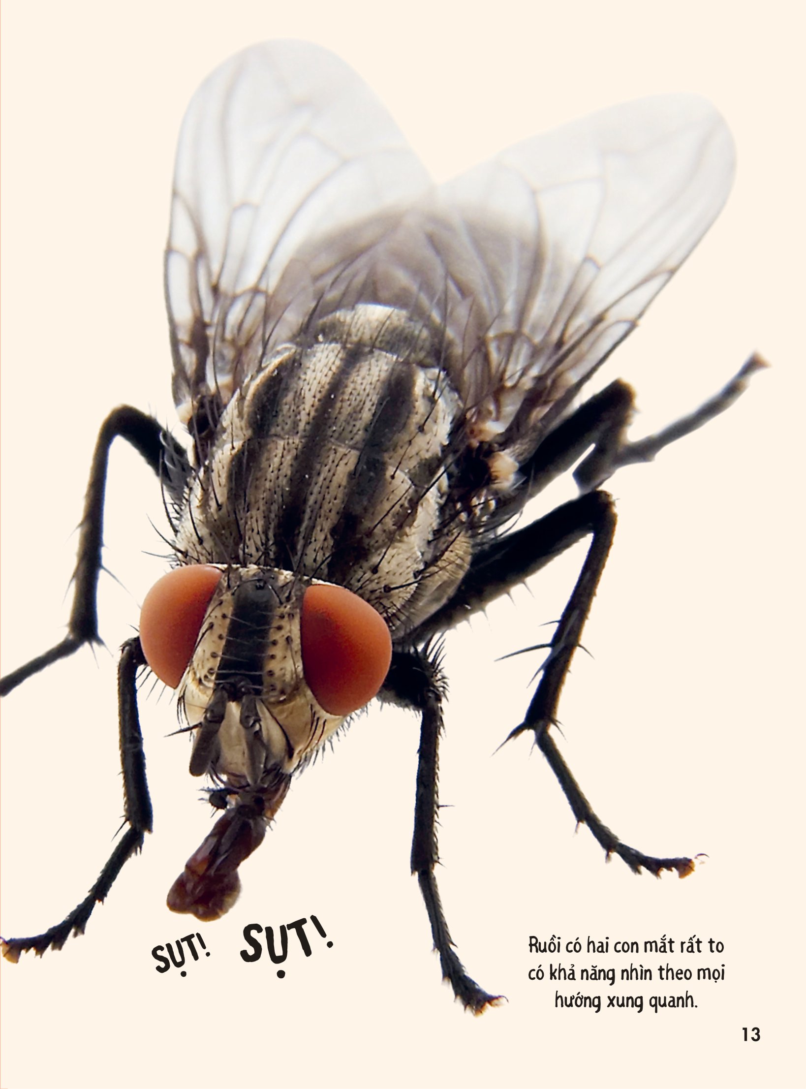 bách khoa thư britannica dành cho trẻ em - cuốn sách khổng lồ giải đáp 100++ câu hỏi tại sao hóc búa - Ảnh 10