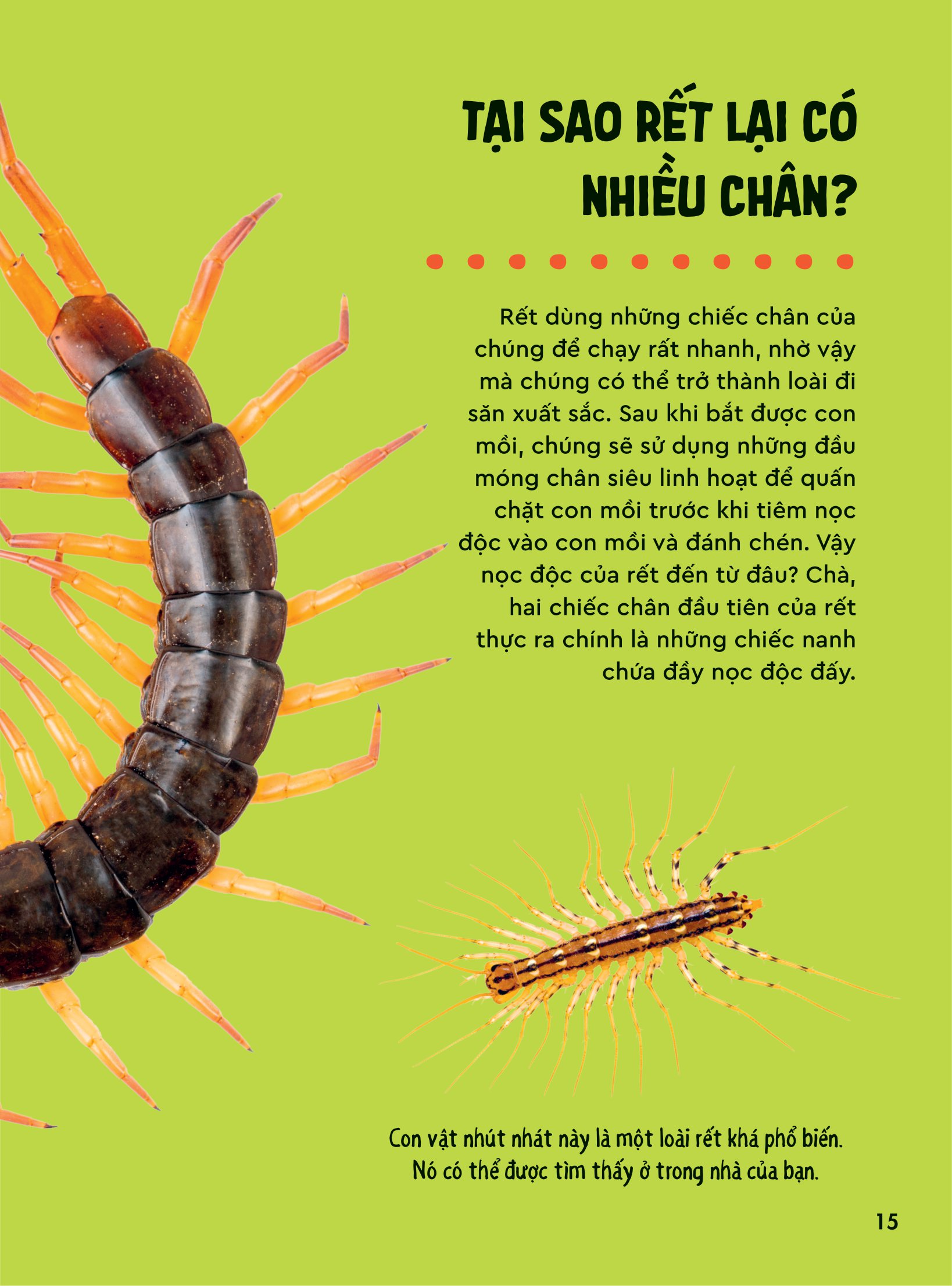 bách khoa thư britannica dành cho trẻ em - cuốn sách khổng lồ giải đáp 100++ câu hỏi tại sao hóc búa - Ảnh 12